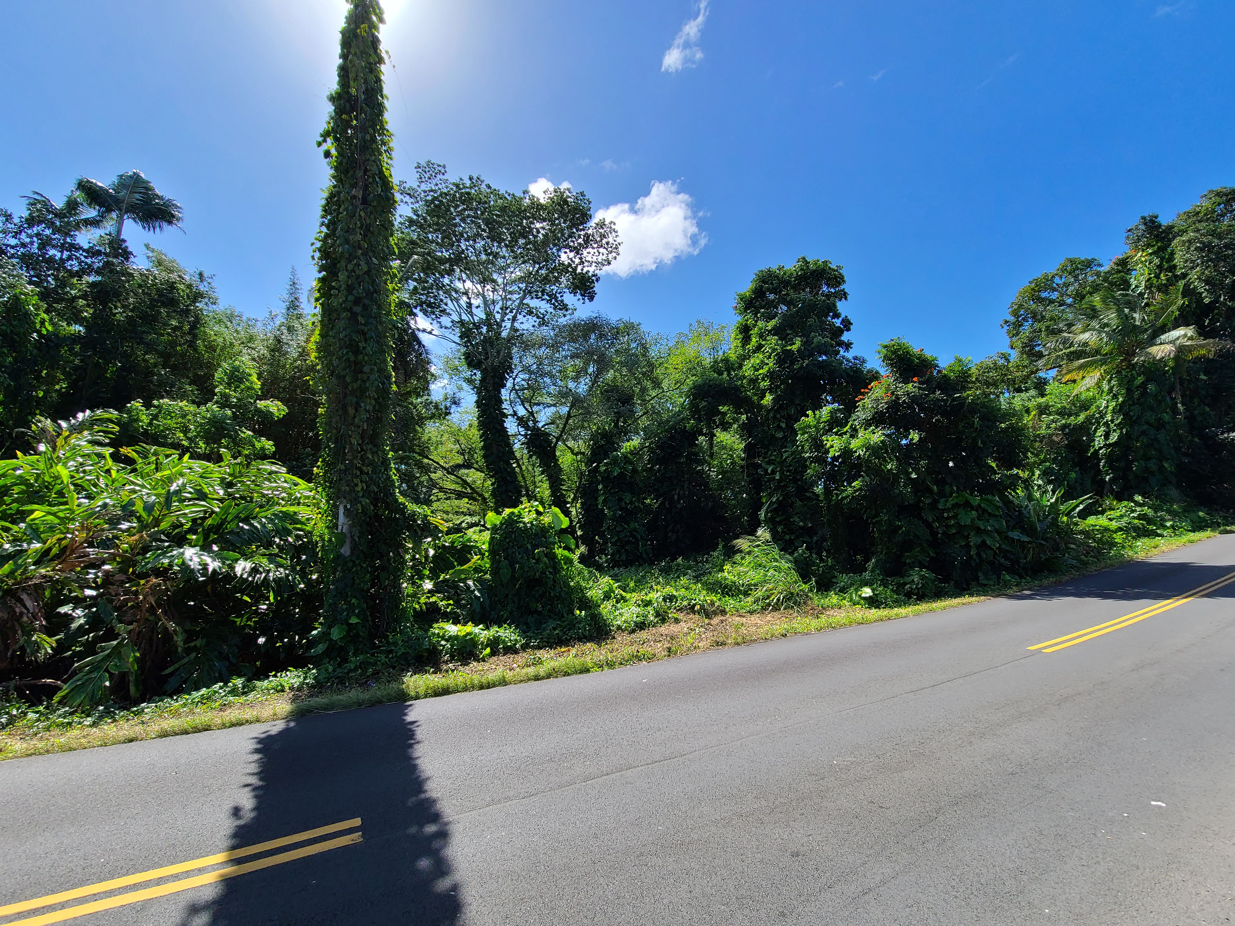 3 Lot Hilo, HI 96720 - Photo 6 of 20 a view of a street with a garden