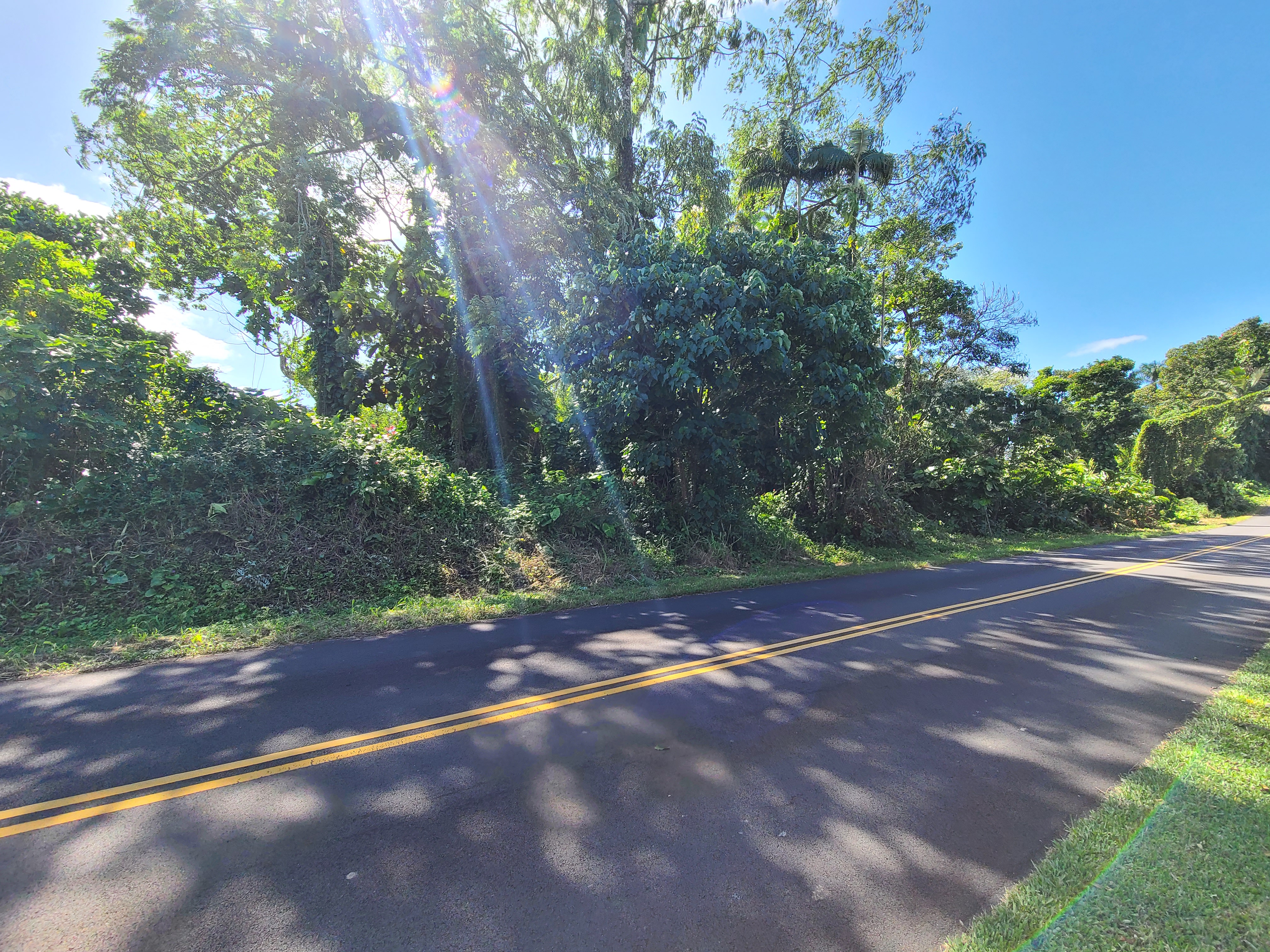 3 Lot Hilo, HI 96720 - Photo 8 of 20 a view of a yard with a tree
