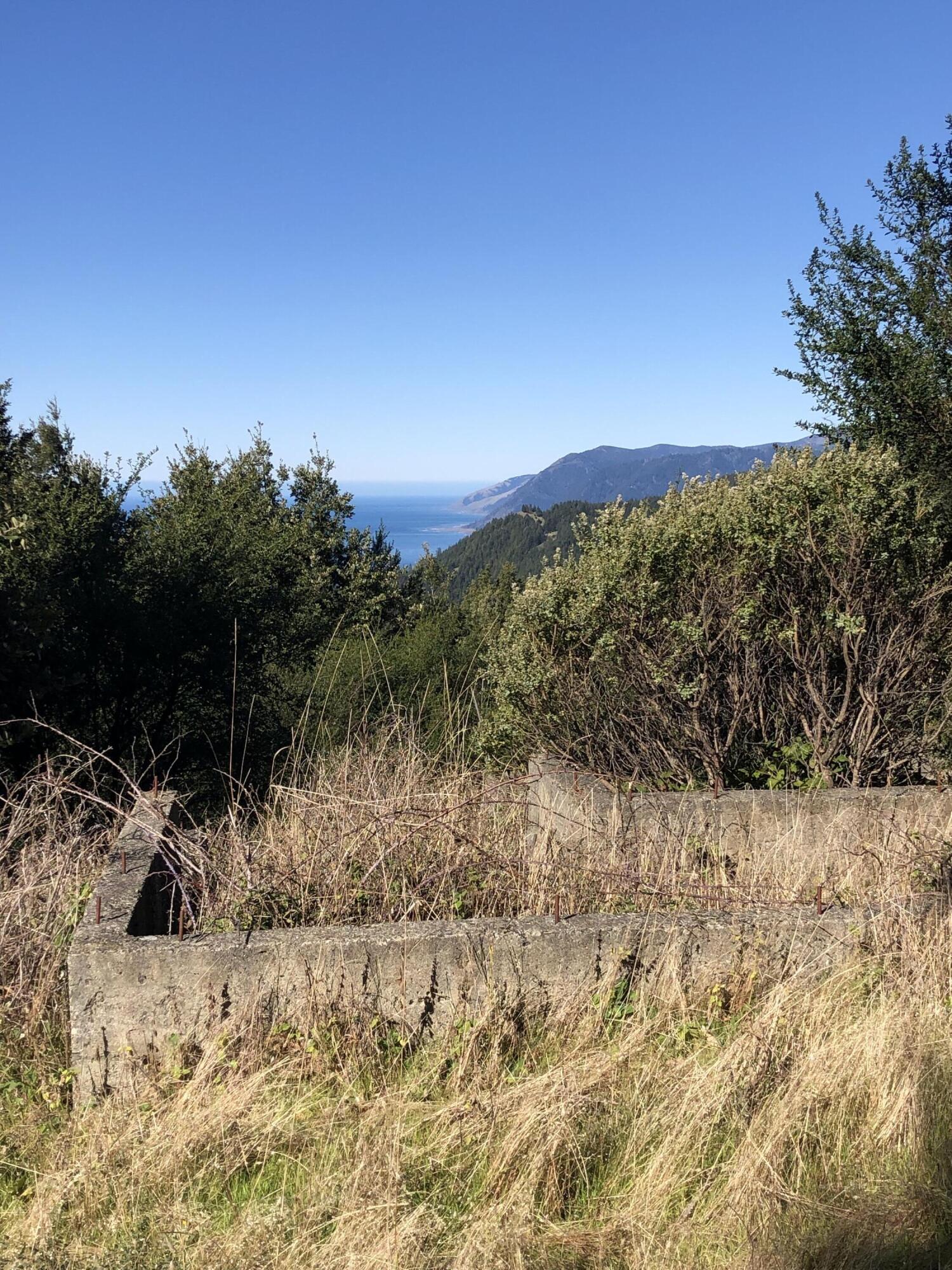 171 Cook Road Shelter Cove, CA 95589 - Photo 1 of 4