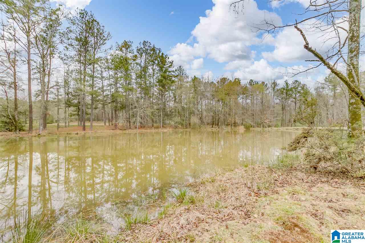 6150 Chelsea Road Columbiana, AL 35051 - Photo 47 of 50