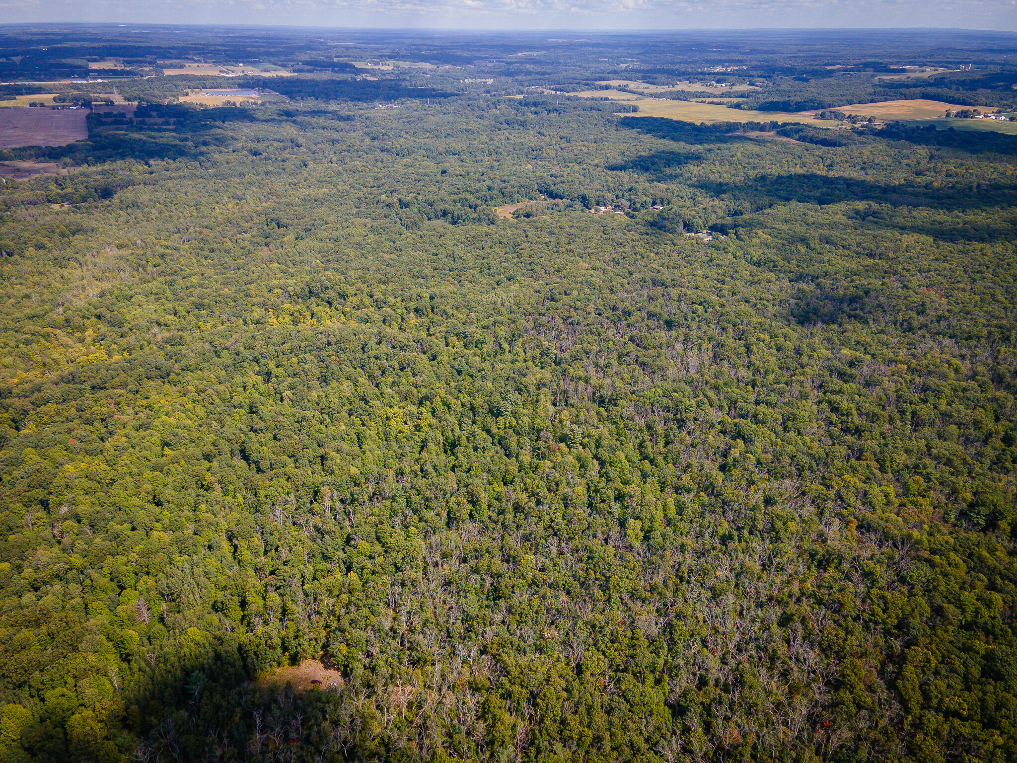 V/l Cleveland Road Hesperia, MI 49421 - Photo 19 of 19 DJI_0426