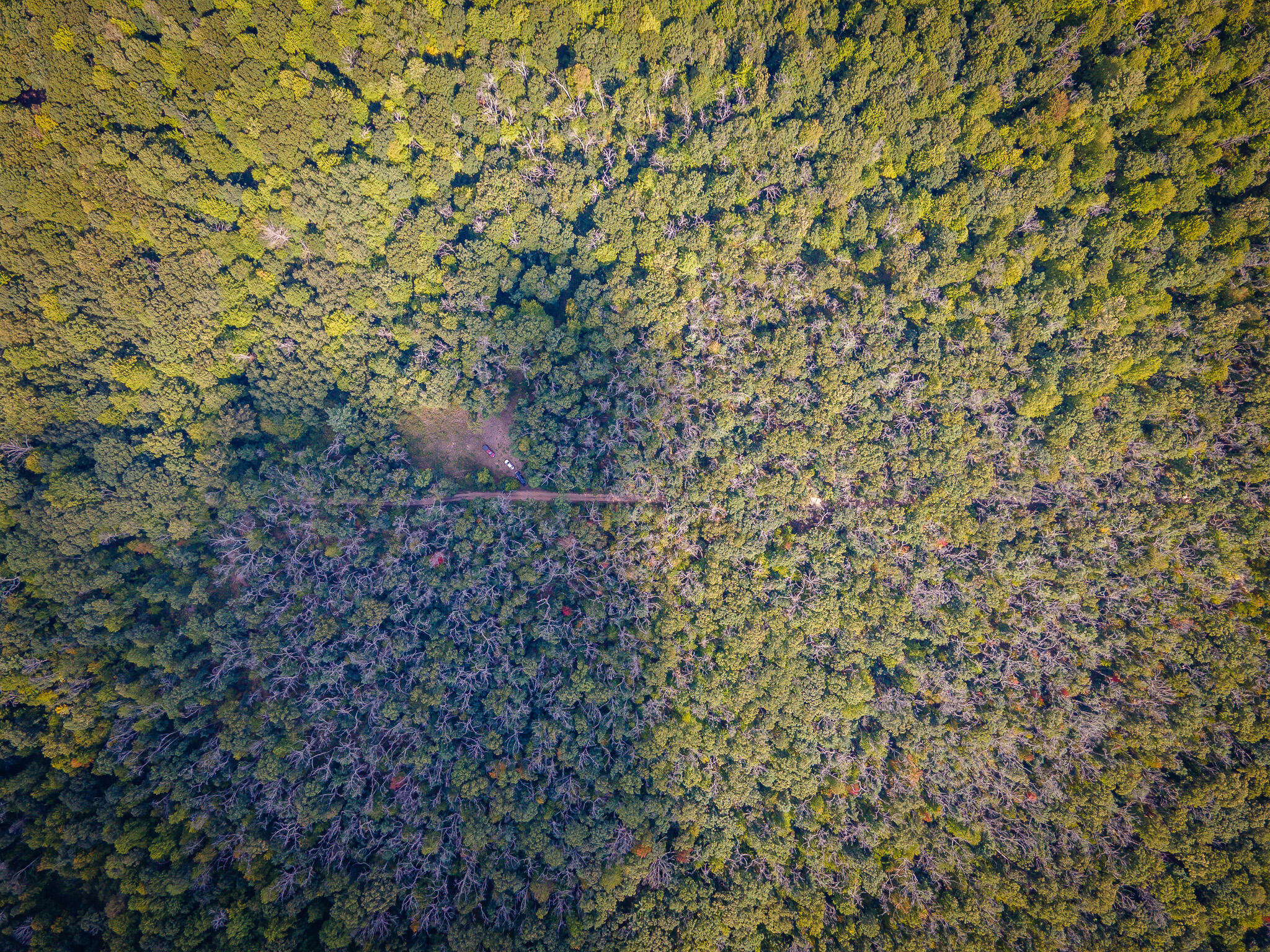 V/l Cleveland Road Hesperia, MI 49421 - Photo 2 of 19 DJI_0427