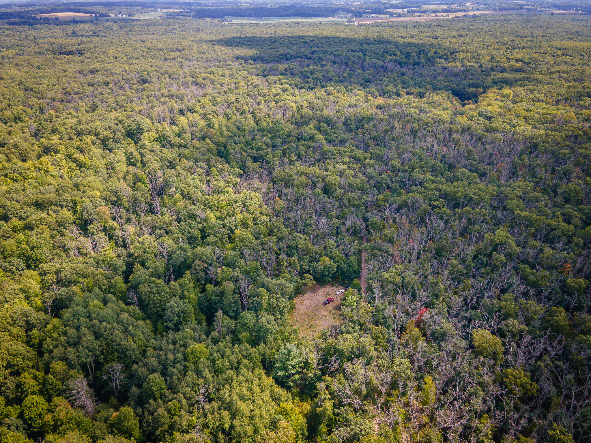 V/l Cleveland Road Hesperia, MI 49421 - Photo 3 of 19 DJI_0433