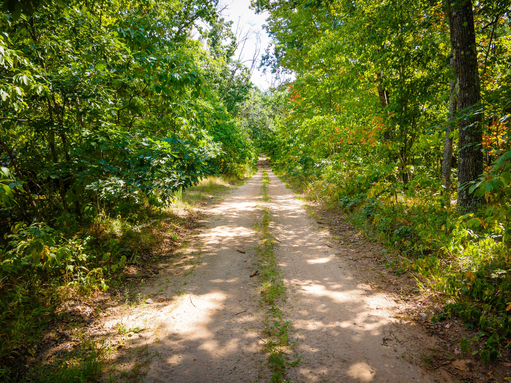 V/l Cleveland Road Hesperia, MI 49421 - Photo 5 of 19 DJI_0437