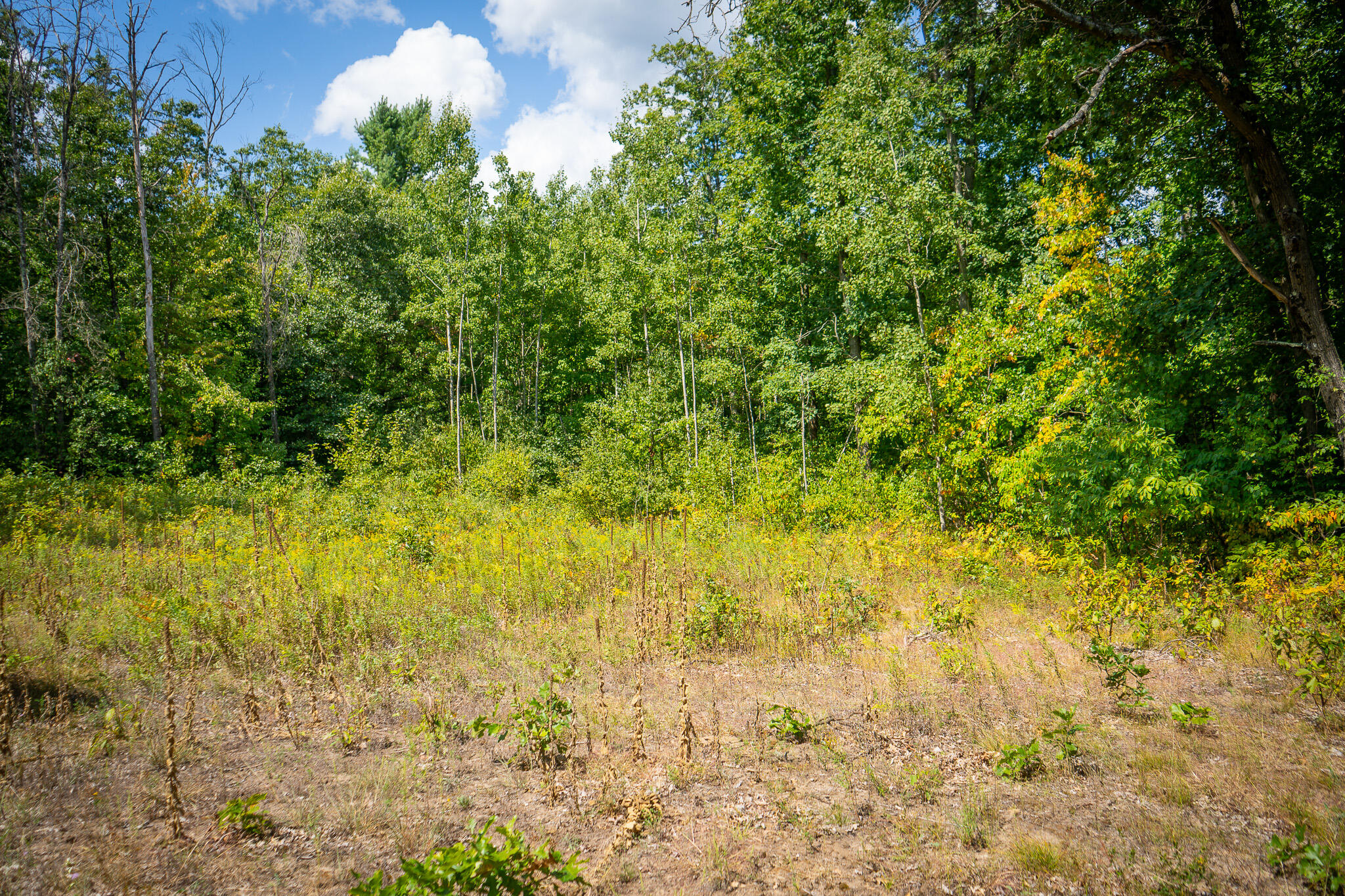 V/l Cleveland Road Hesperia, MI 49421 - Photo 6 of 19 DSC07111