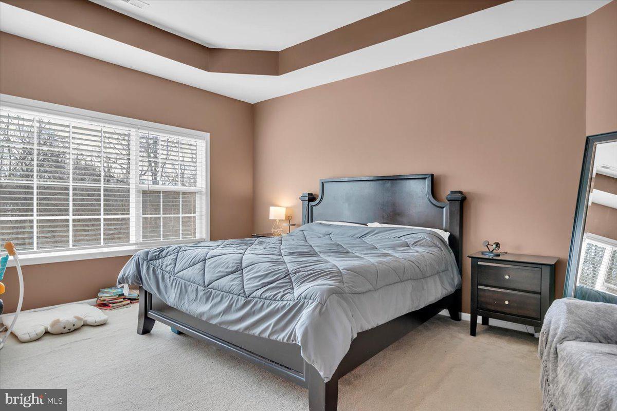 20 Alexis Court Mickleton, NJ 08056 - Photo 21 of 36 Primary Bedroom