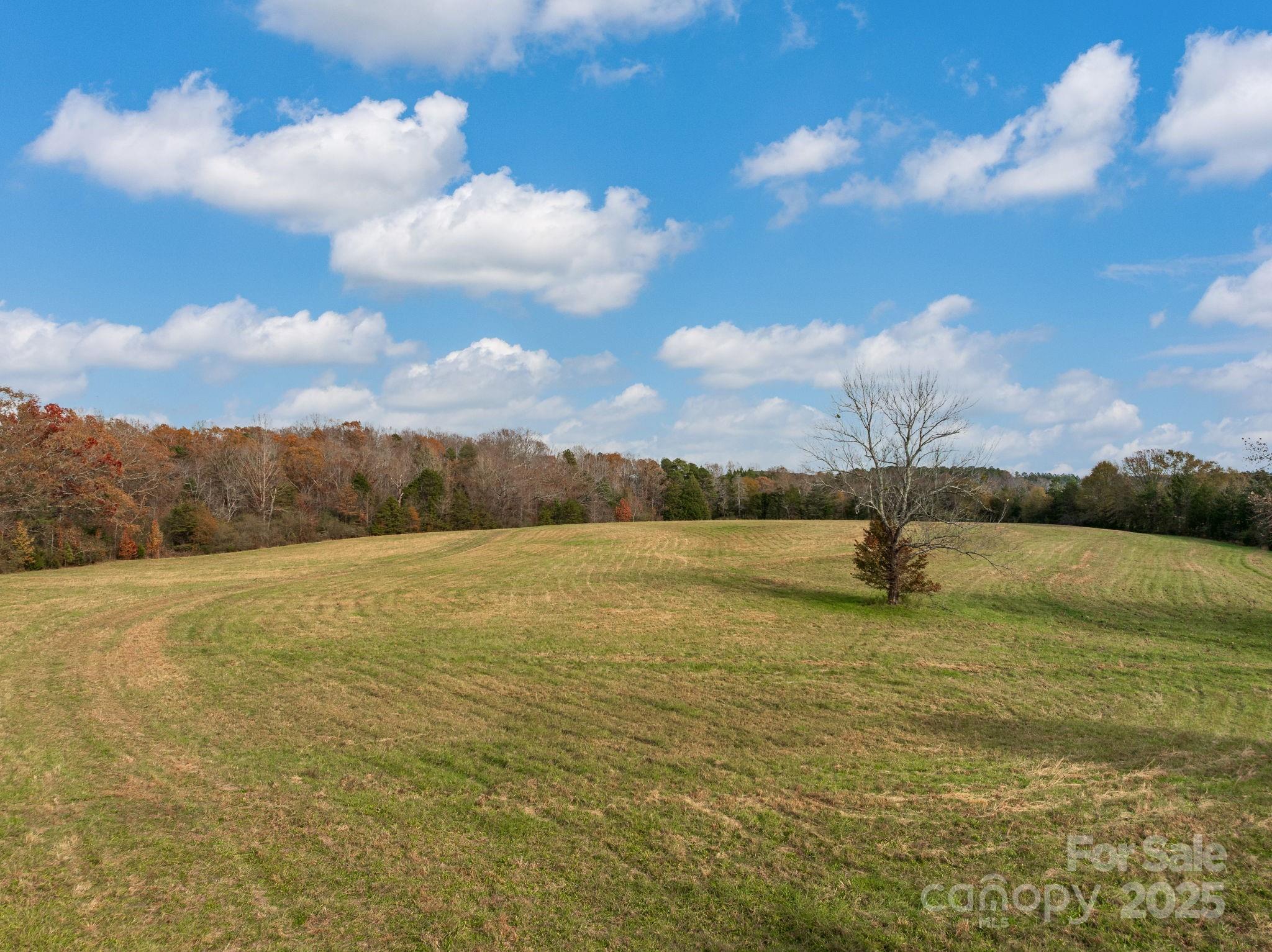 6505 Highway 9 Columbus, NC 28722 - Photo 11 of 21 a view of a lake view