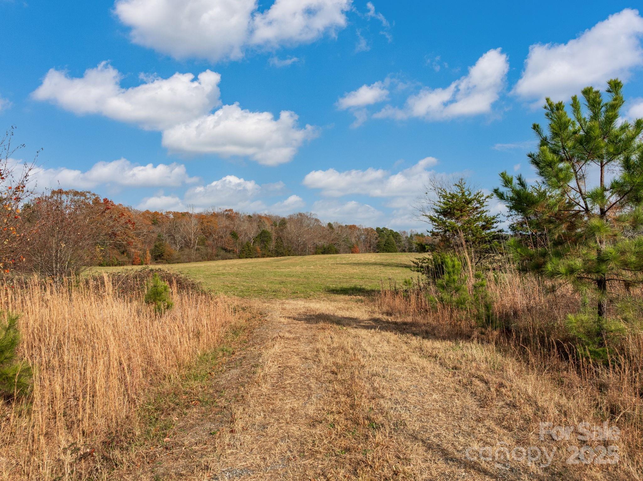 6505 Highway 9 Columbus, NC 28722 - Photo 4 of 21 a view of lake with green space