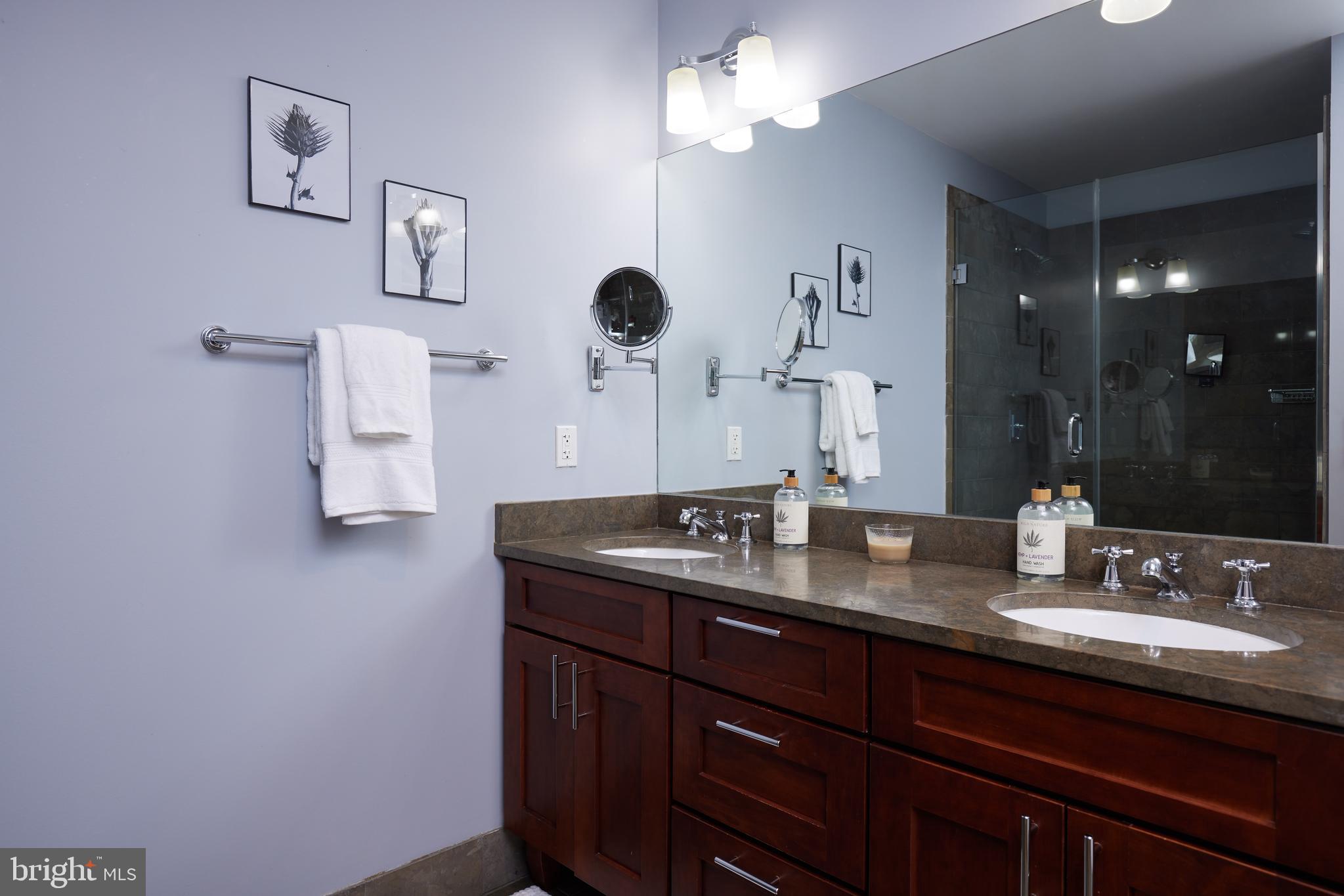 215 I Street Northeast, Unit 1B Washington, DC 20002 - Photo 37 of 78 Primary bath with desirable double sinks