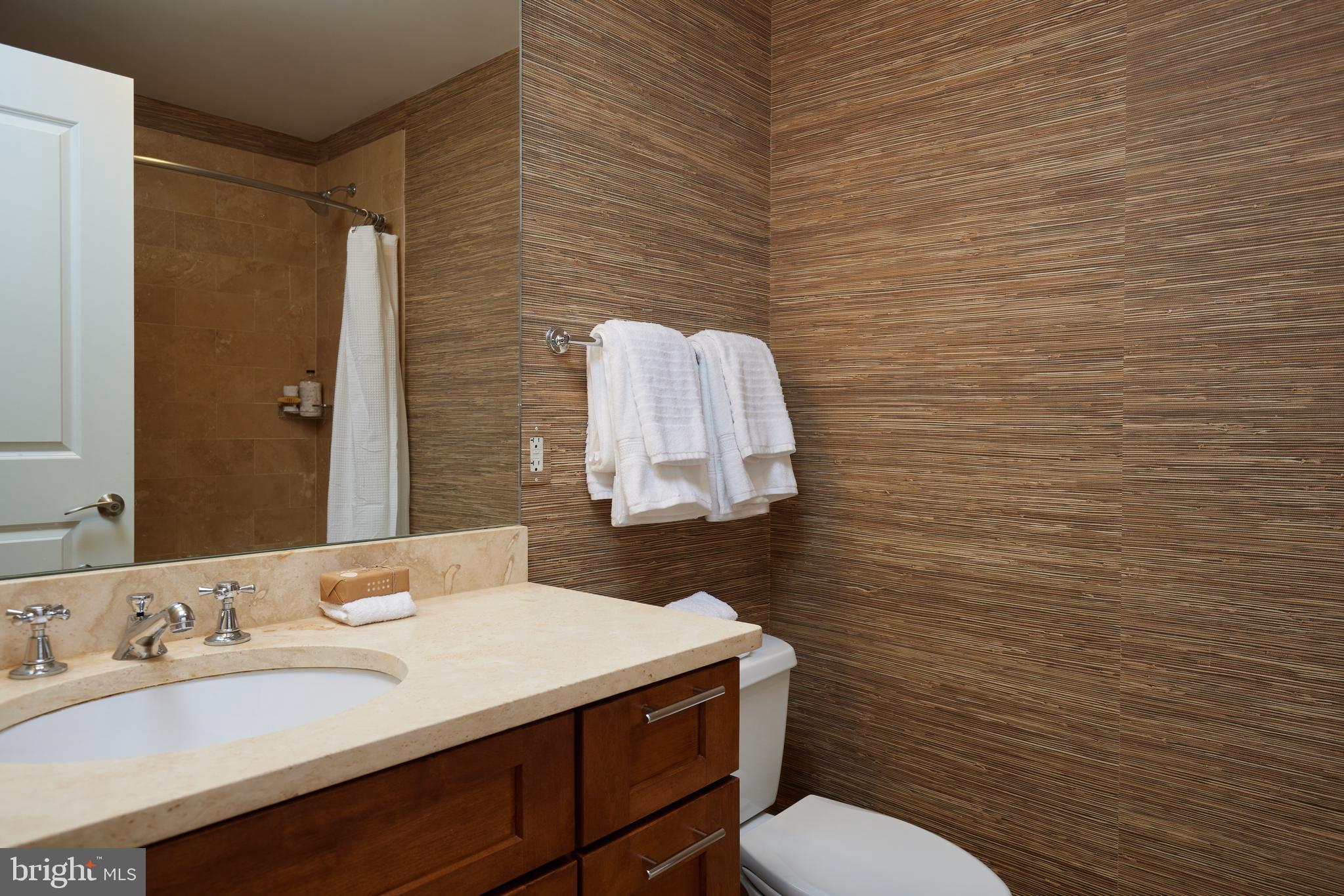 215 I Street Northeast, Unit 1B Washington, DC 20002 - Photo 43 of 78 Second bath accessible from the main hall