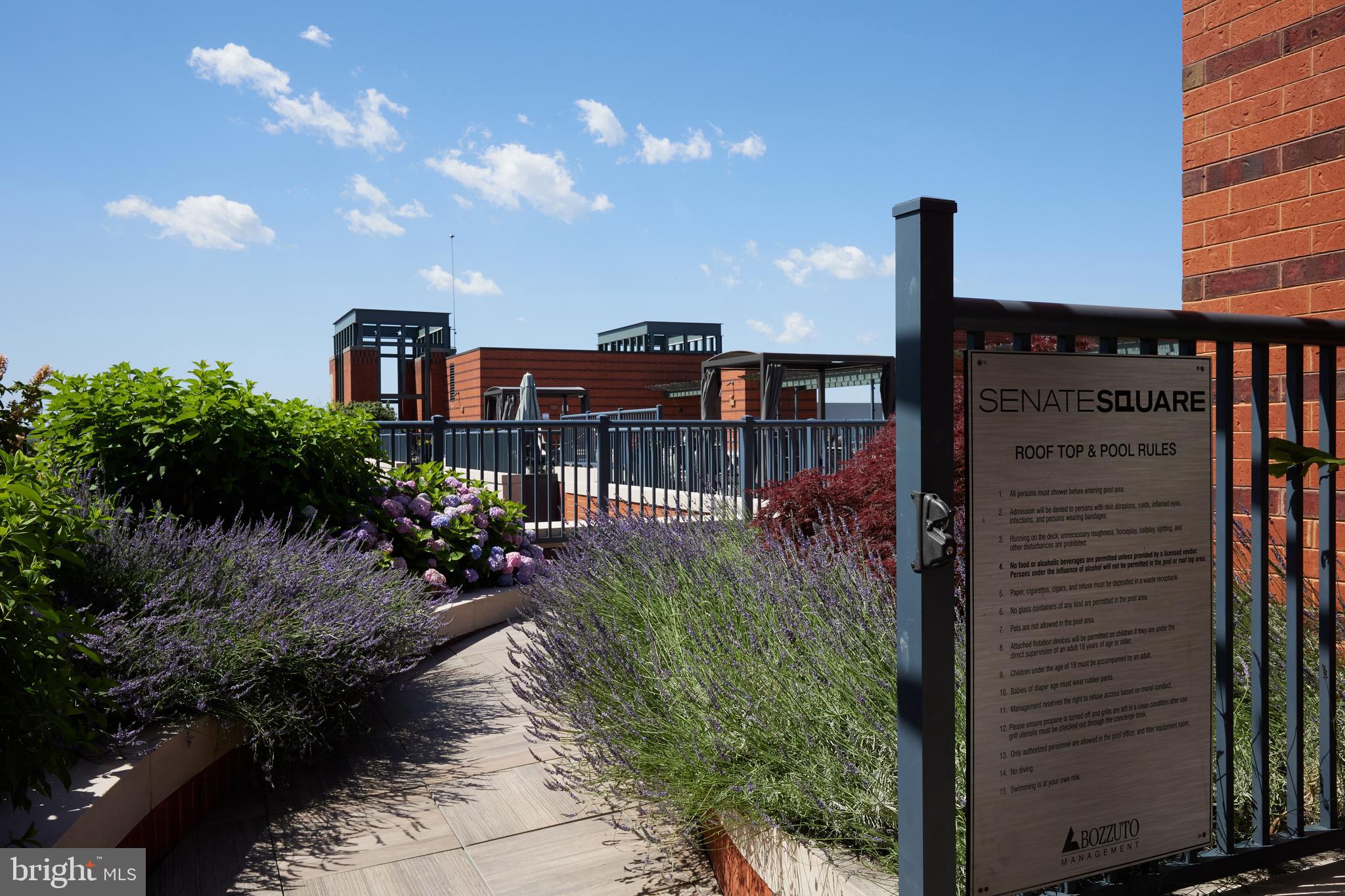 215 I Street Northeast, Unit 1B Washington, DC 20002 - Photo 48 of 78 Landscaped and manicured roof deck leading to pool