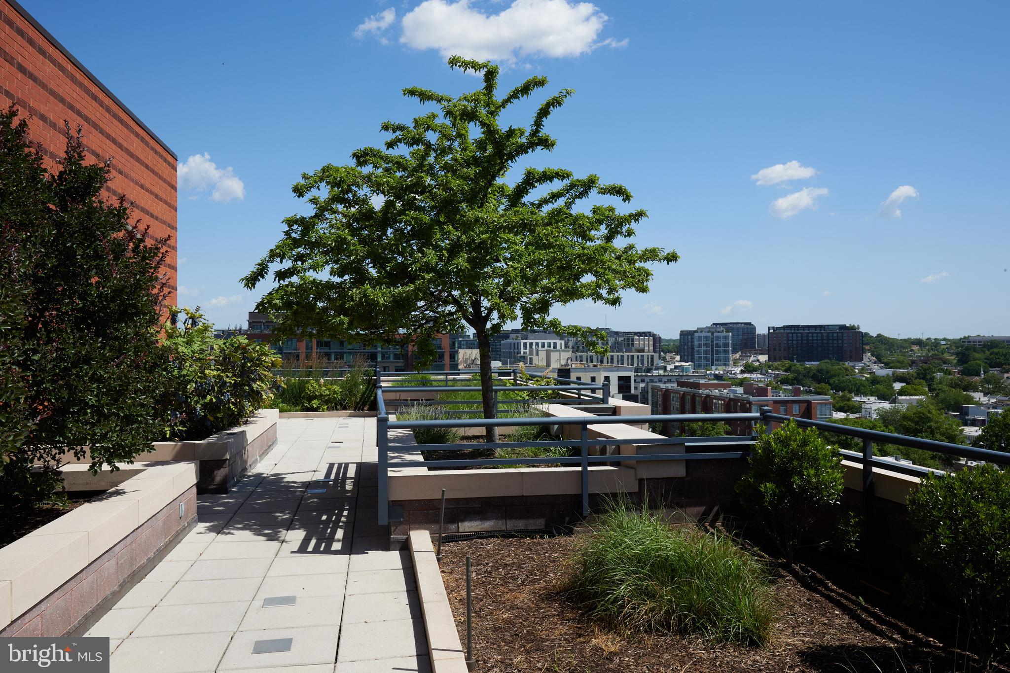 215 I Street Northeast, Unit 1B Washington, DC 20002 - Photo 58 of 78 Walk the entire roof deck for 360 views
