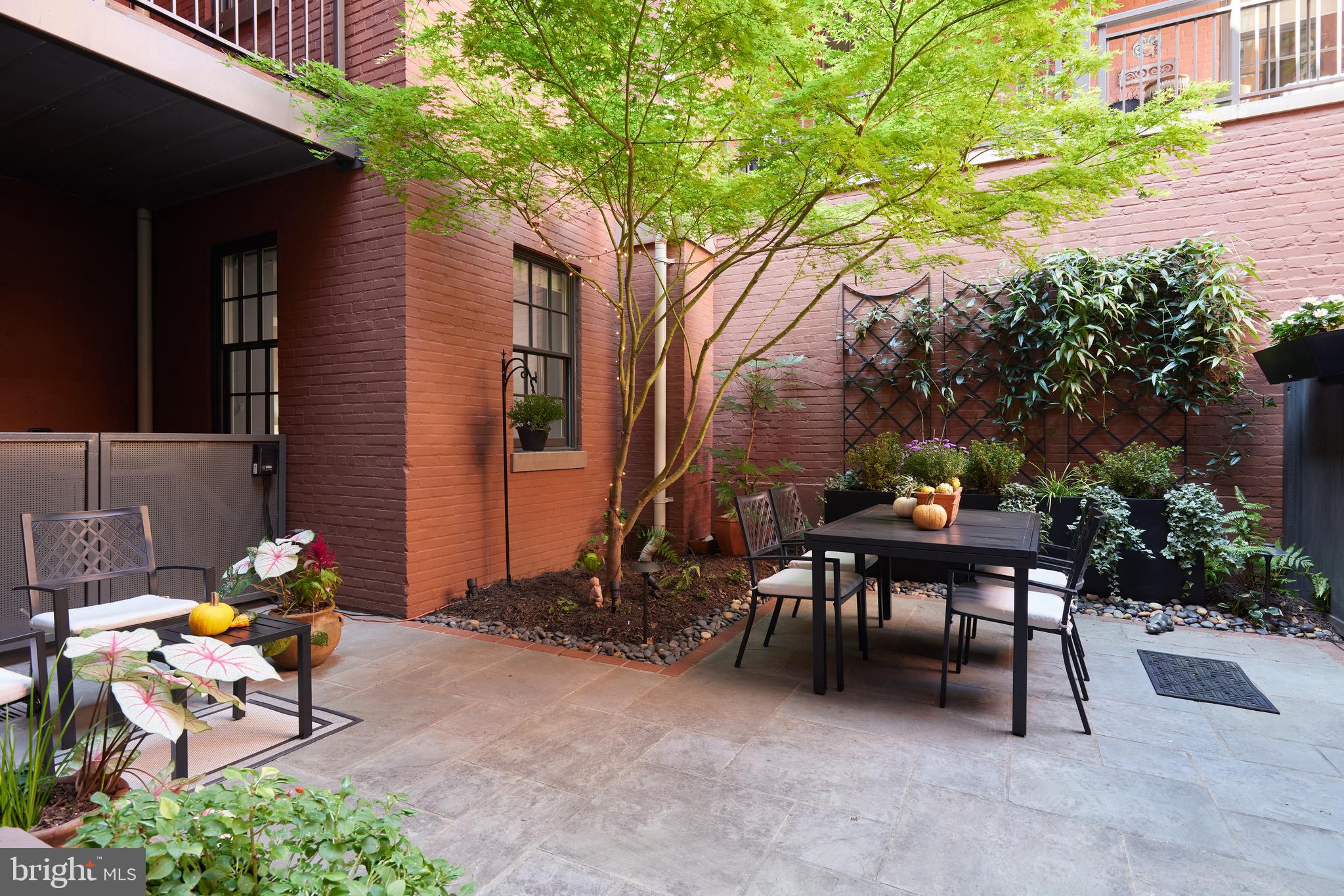 215 I Street Northeast, Unit 1B Washington, DC 20002 - Photo 6 of 78 View from the front door across the patio
