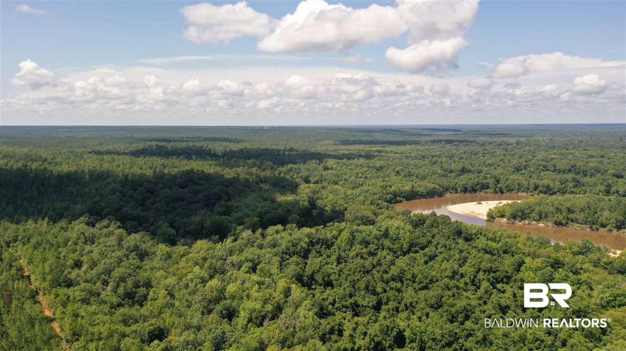 0 Highway 4 Jay, FL 32565 - Photo 15 of 50