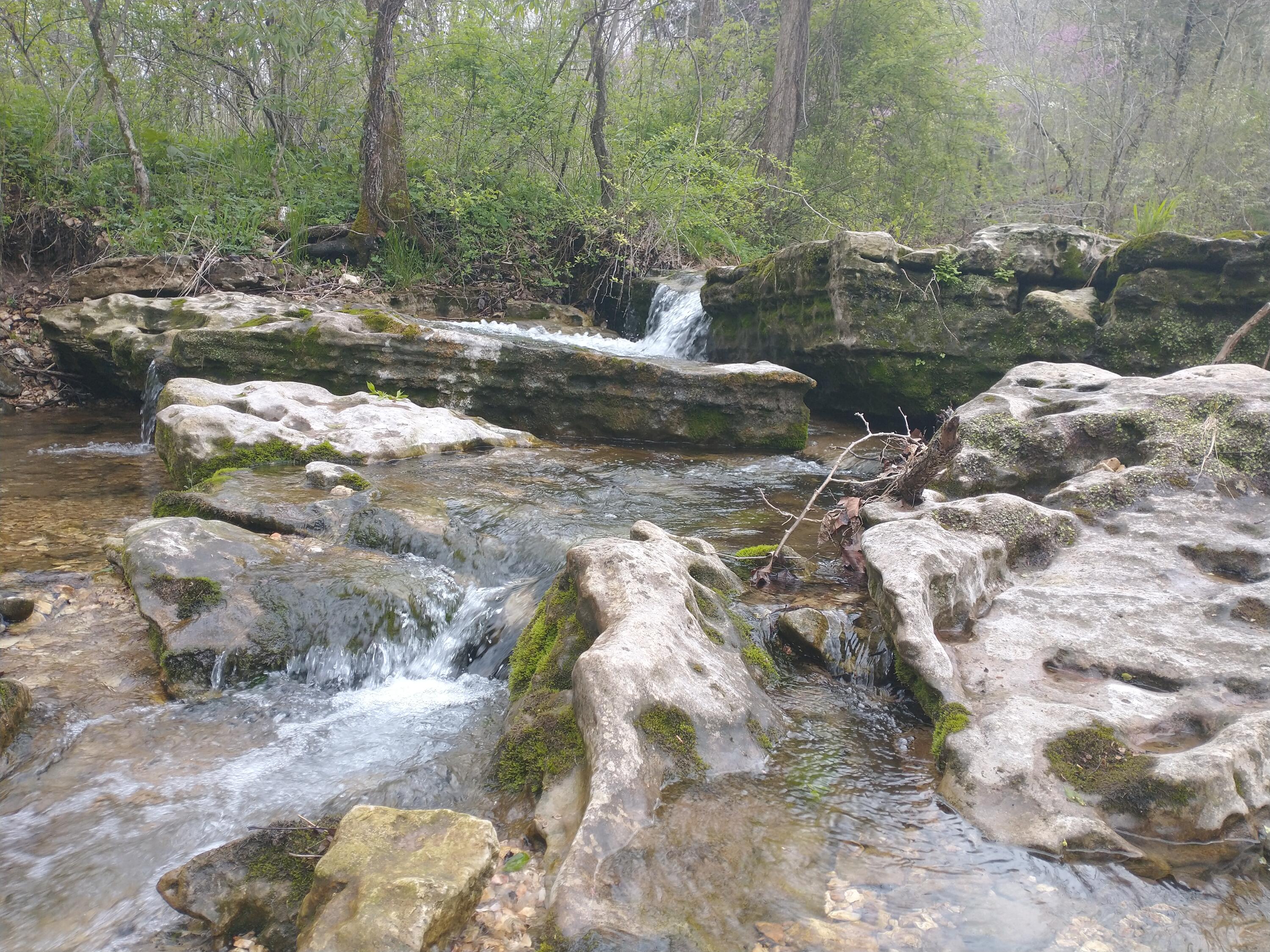 Tract Z Red Rock Road Reeds Spring, MO 65737 - Photo 21 of 38 2021-04-17 13.43.24