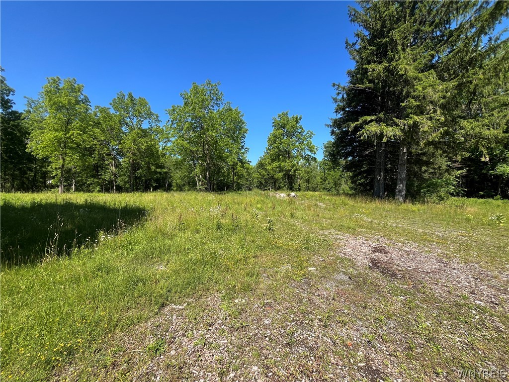 4880 Ransom Road Clarence, NY 14031 - Photo 35 of 42 Gallery Image 35