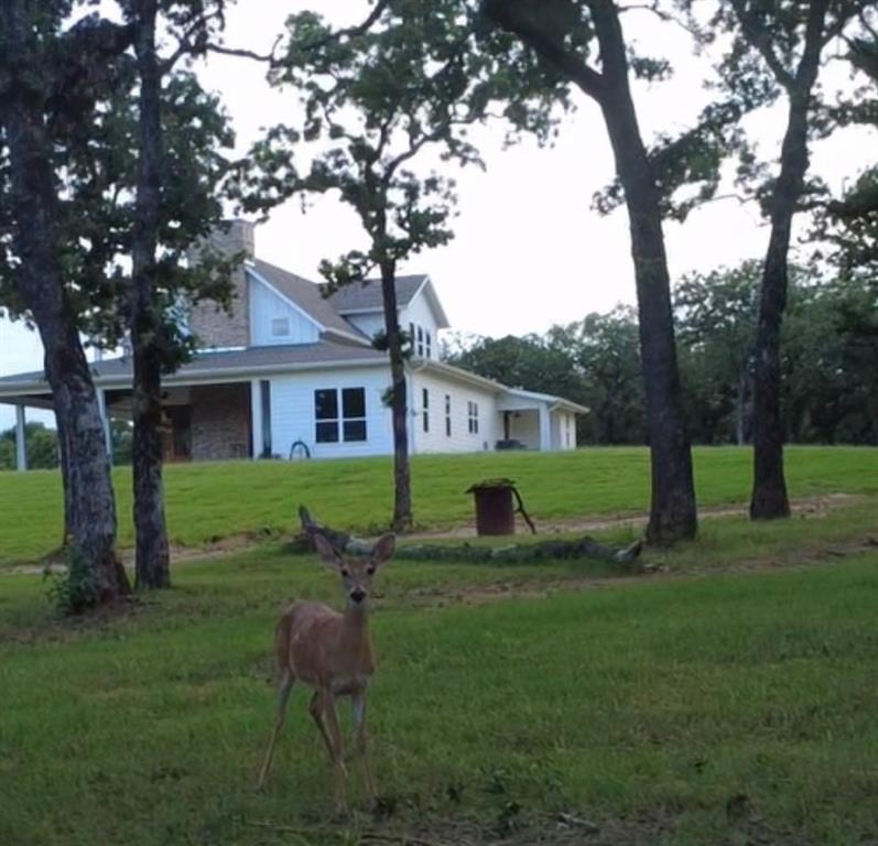 2094 Jim Harry Loop Sunset, TX 76270 - Photo 39 of 40 Property is home to much wildlife including baby deer that have been born here over the years and they don't scurry off when we go outside.