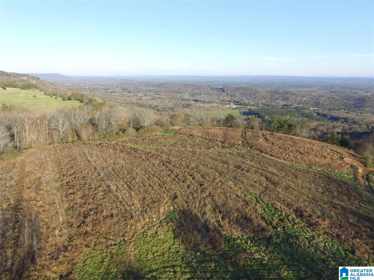 0 County Road 24, Unit 49 / ACRES Springville, AL 35146 - Photo 8 of 18