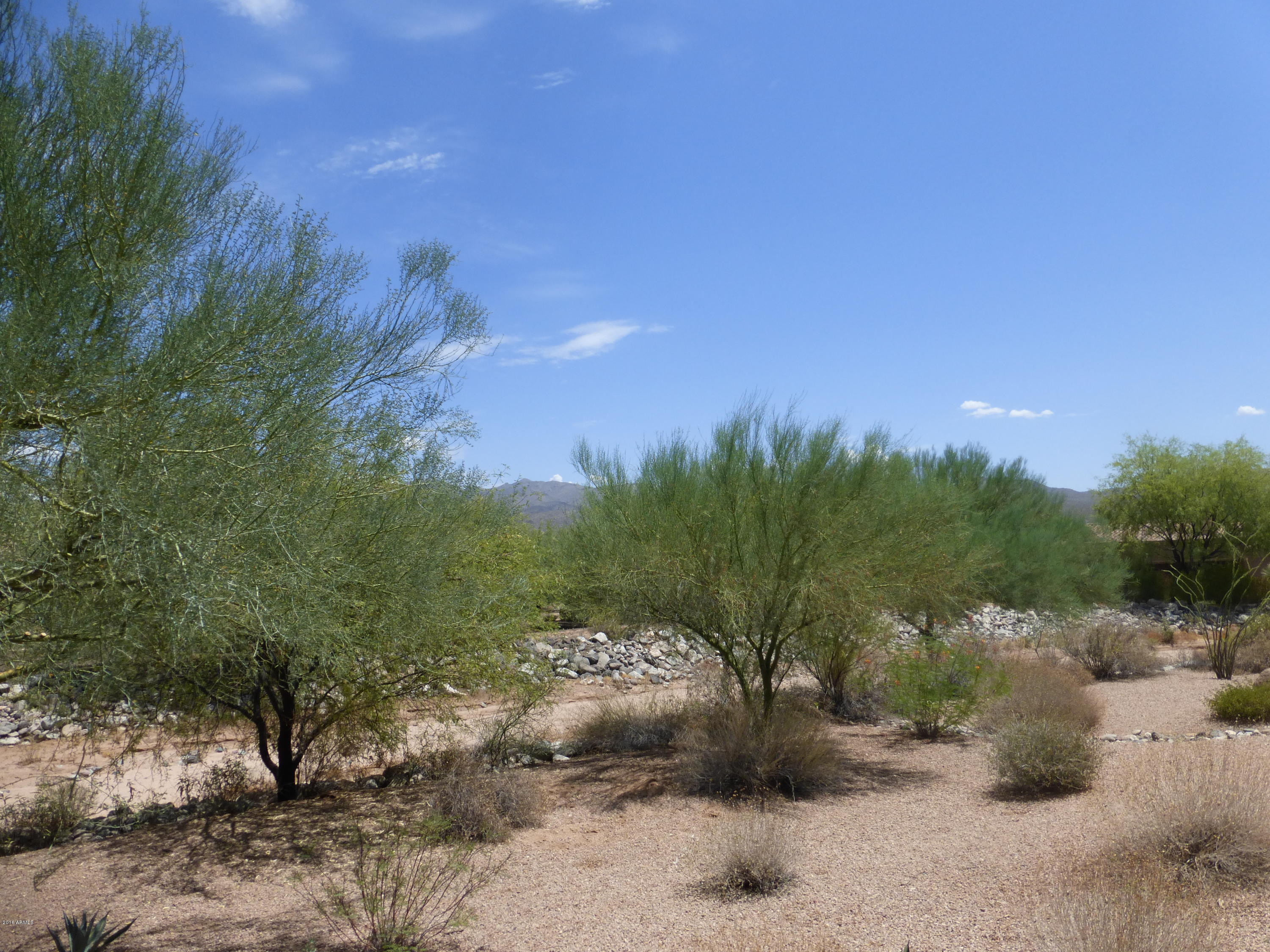 27913 North Quail Spring Road Rio Verde, AZ 85263 - Photo 24 of 63 a view of a dry yard with trees