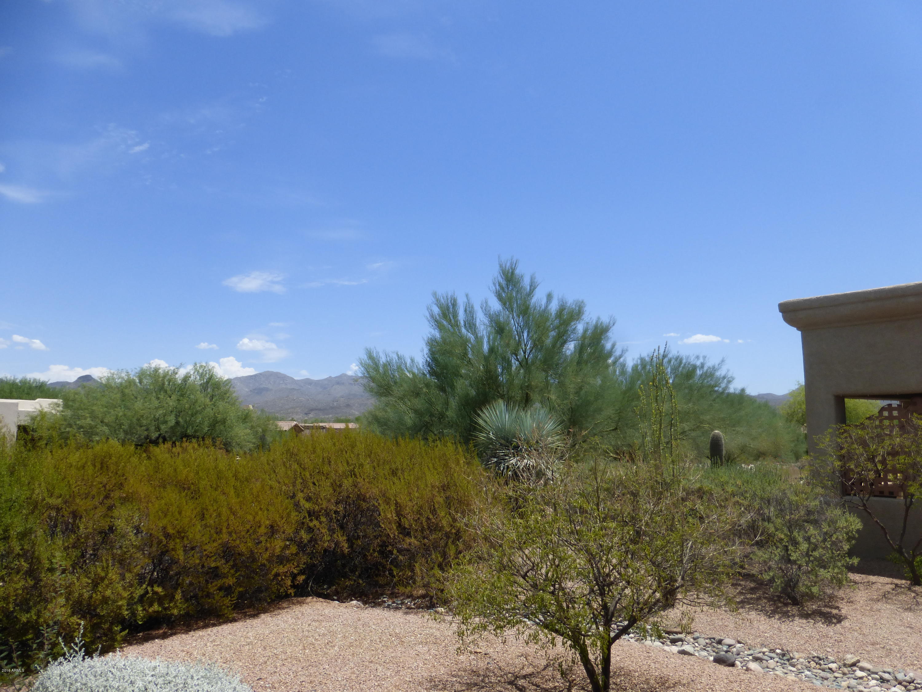 27913 North Quail Spring Road Rio Verde, AZ 85263 - Photo 35 of 63 a view of a yard