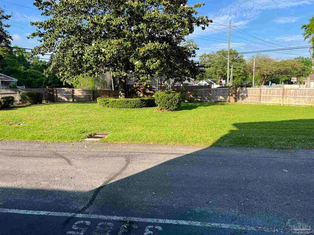 a view of a park with large trees
