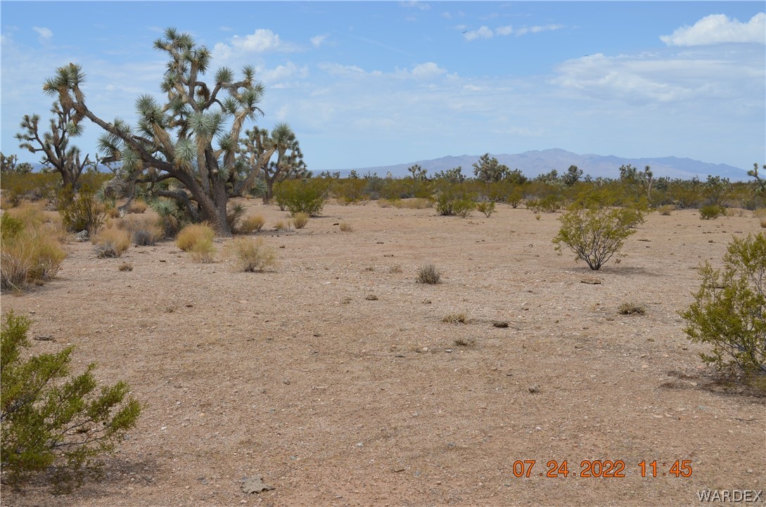 2075 South Cheyenne Road Yucca, AZ 86438 - Photo 14 of 26 Gallery Image 14