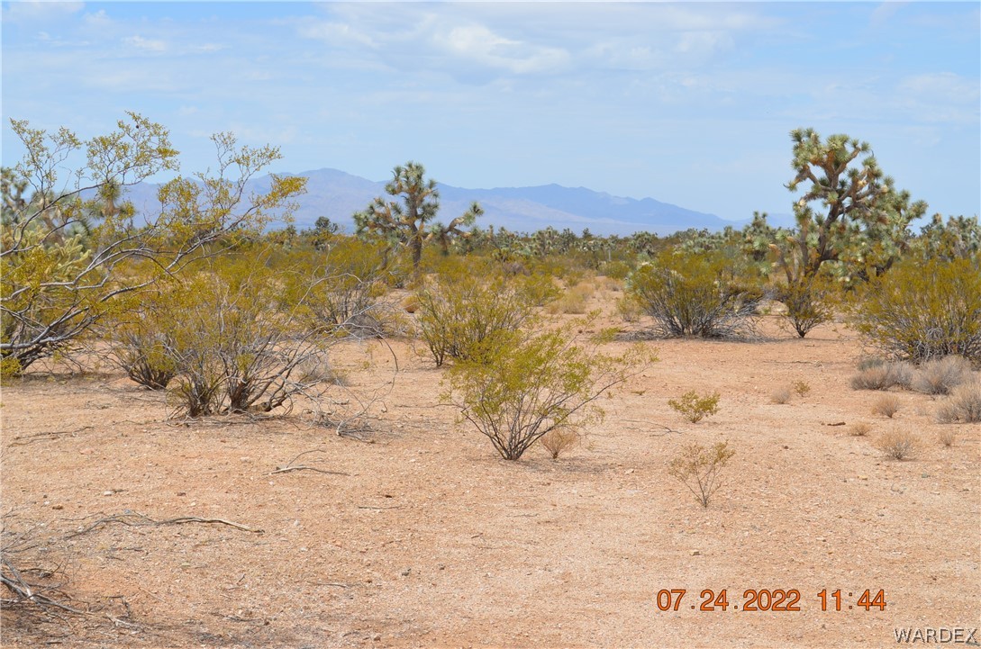 2075 South Cheyenne Road Yucca, AZ 86438 - Photo 3 of 26 Gallery Image 3