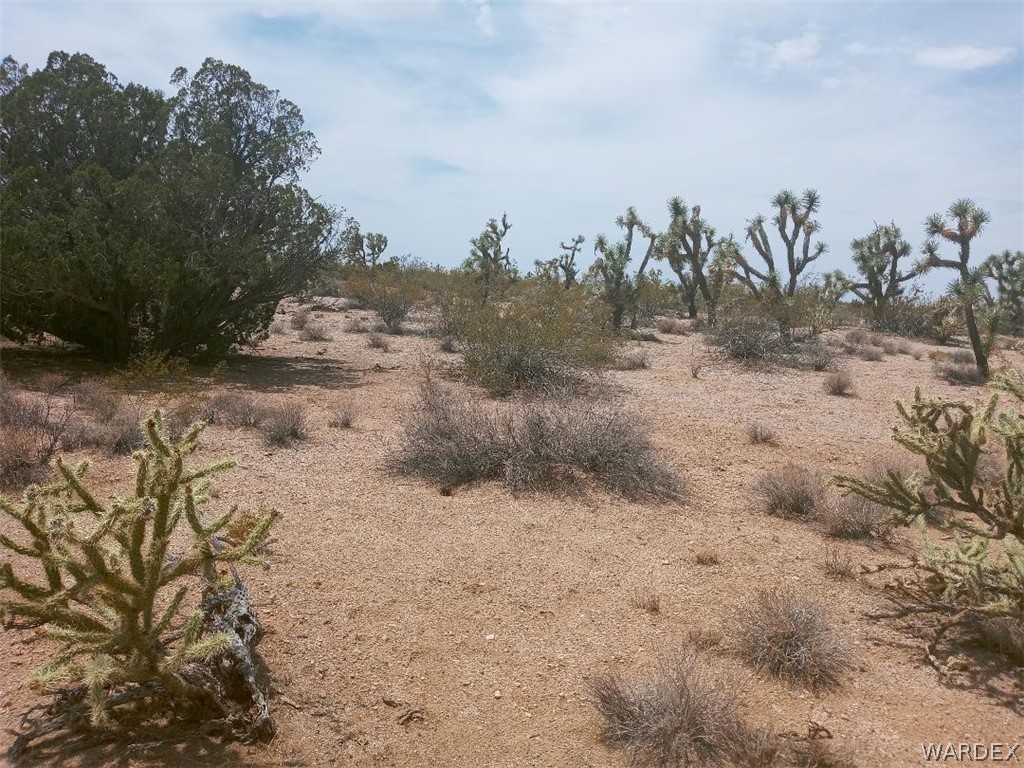 2075 South Cheyenne Road Yucca, AZ 86438 - Photo 4 of 26 Gallery Image 4