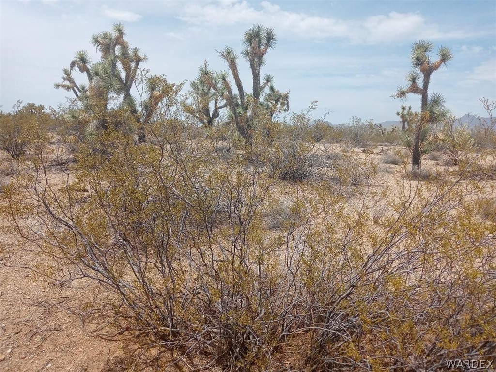 2075 South Cheyenne Road Yucca, AZ 86438 - Photo 7 of 26 Gallery Image 7