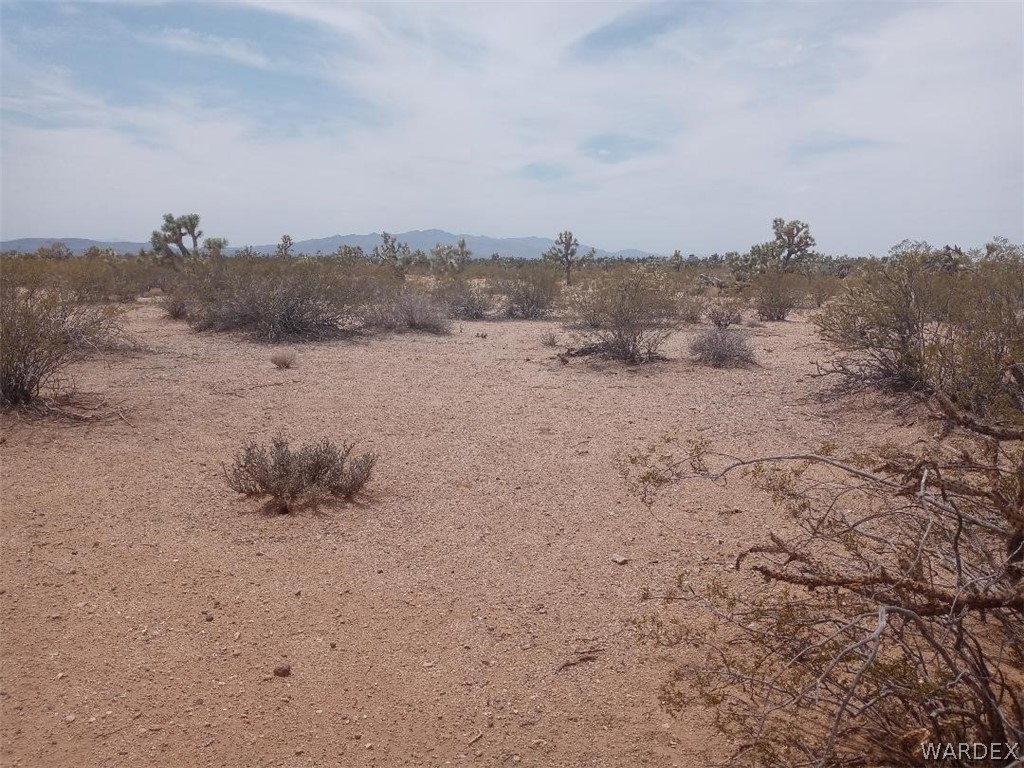 2075 South Cheyenne Road Yucca, AZ 86438 - Photo 8 of 26 Gallery Image 8