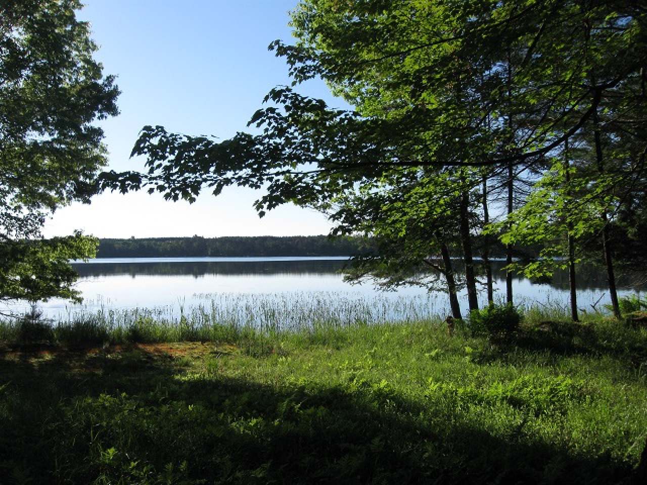 On Camp Bryn Afon Road Rhinelander, WI 54501 - Photo 1 of 9 Gallery Image 1