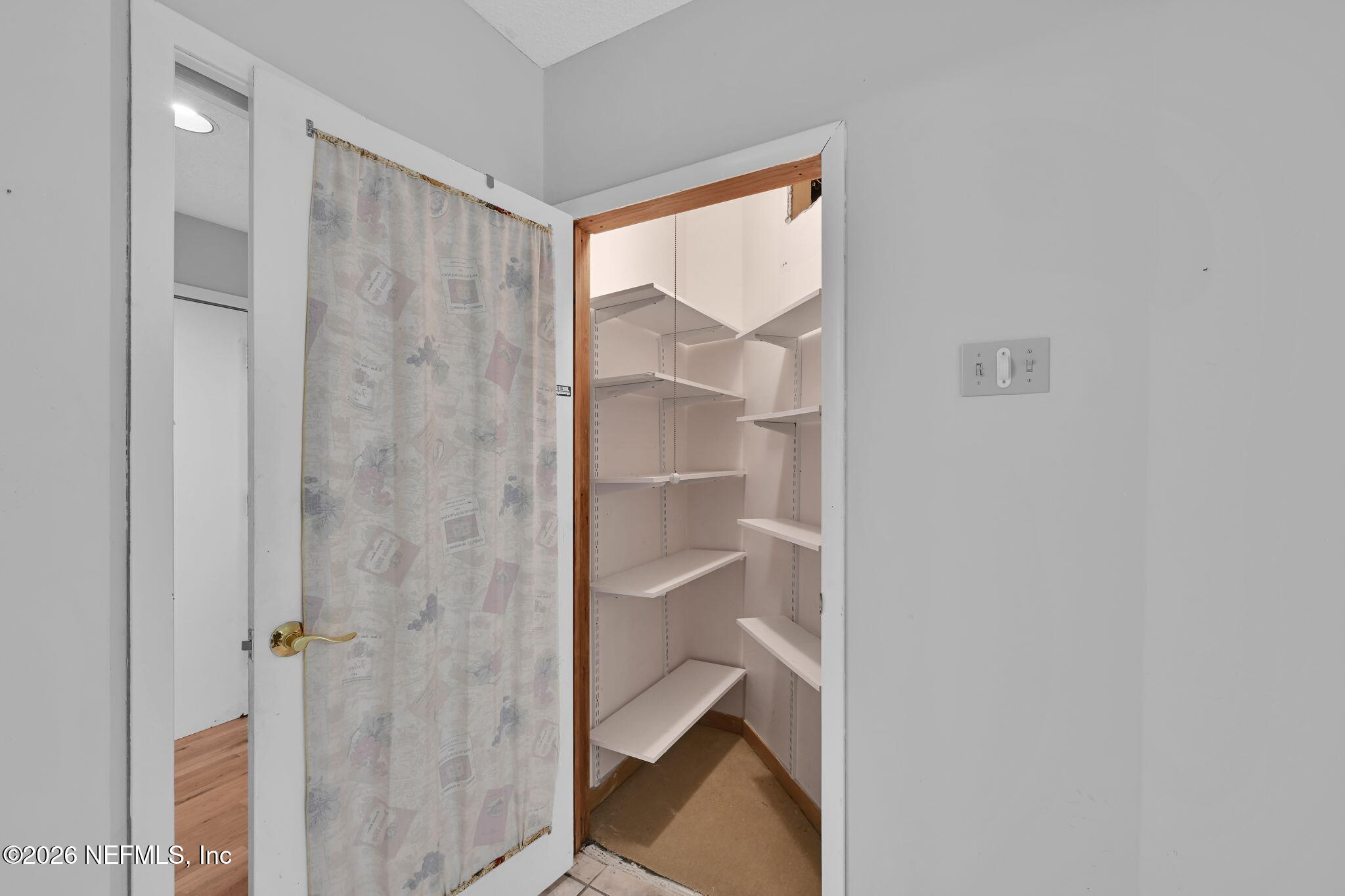 2910 Ravines Road, Unit 1108 Middleburg, FL 32068 - Photo 16 of 34 Pantry