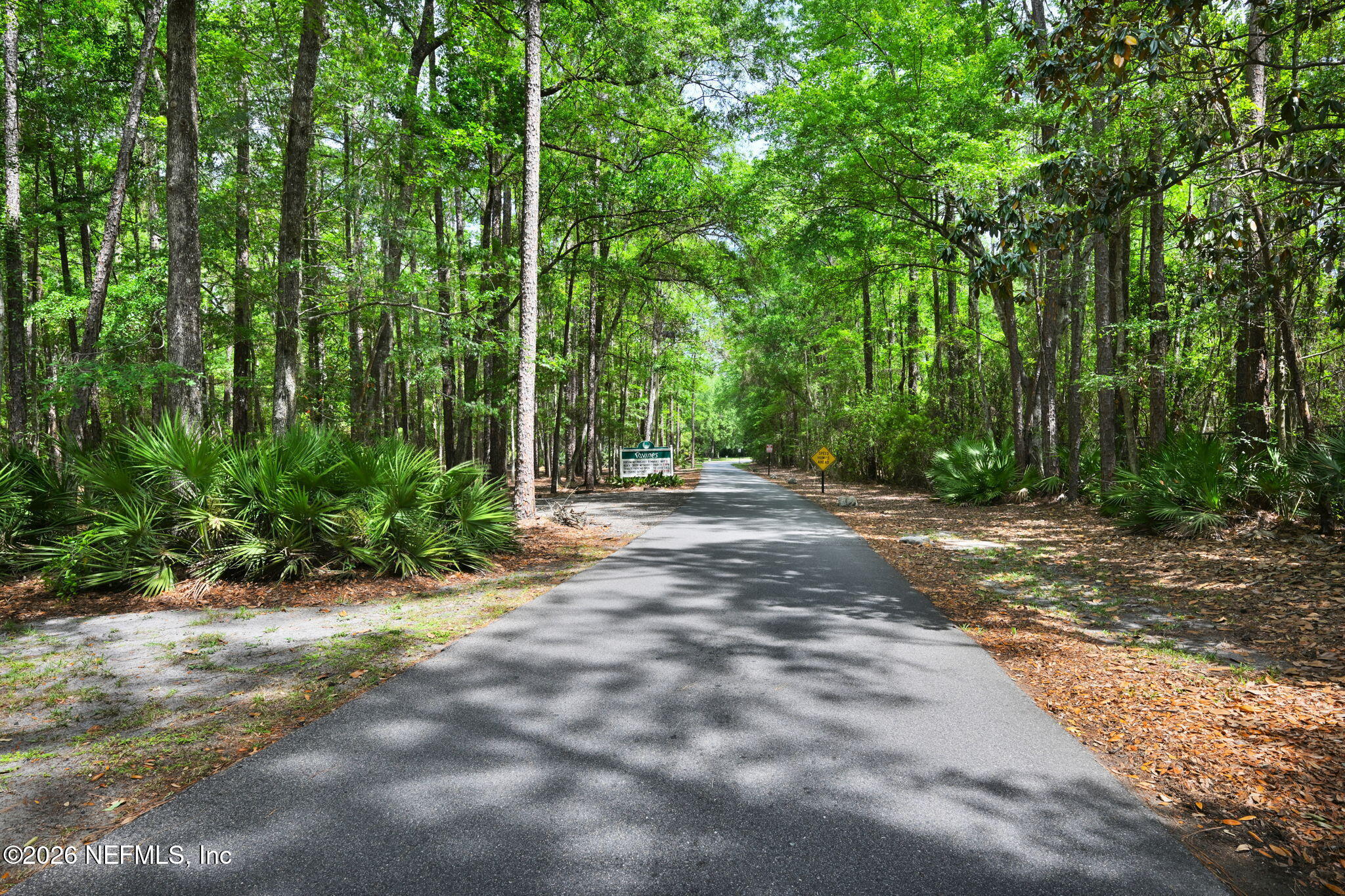 2910 Ravines Road, Unit 1108 Middleburg, FL 32068 - Photo 3 of 34 Drive in