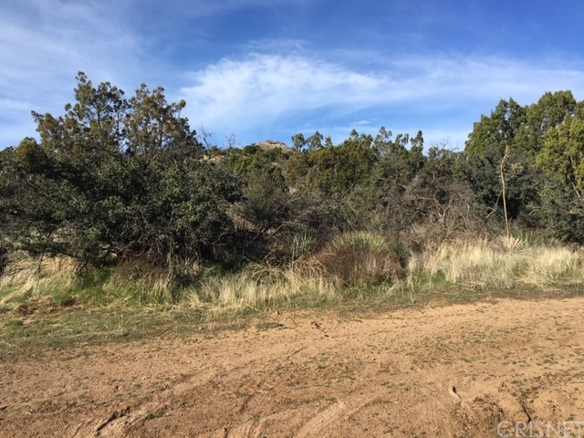 0 Vac/vic Barber Rd/morgan Road Agua Dulce, CA 91390 - Photo 1 of 1 Gallery Image 1