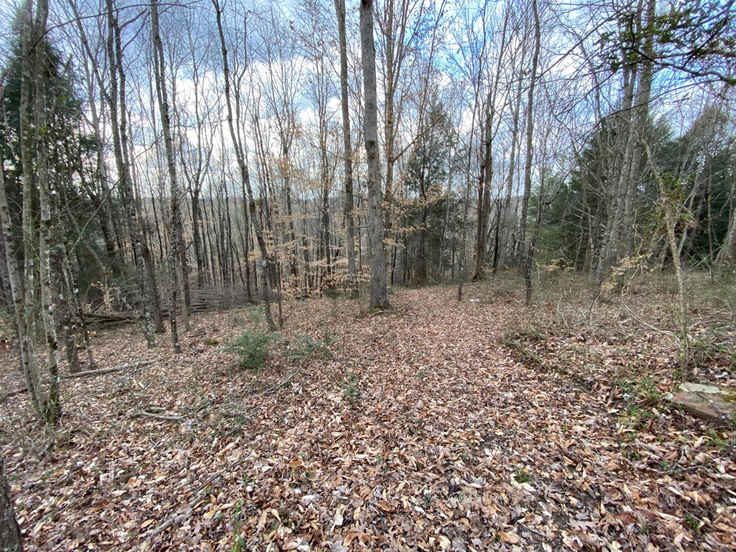 1175 Cassidy Road London, KY 40744 - Photo 77 of 94 Photo 77
