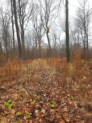 $492,000 | 2391 40th Street, Cumberland, WI 54829