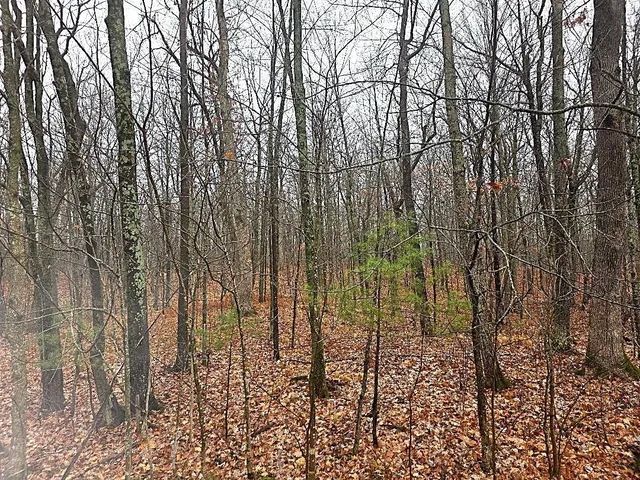 $492,000 | 2391 40th Street, Cumberland, WI 54829