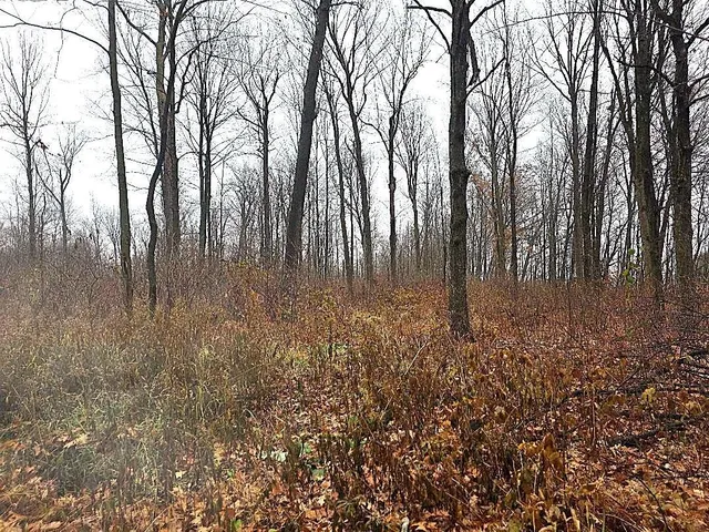 $492,000 | 2391 40th Street, Cumberland, WI 54829