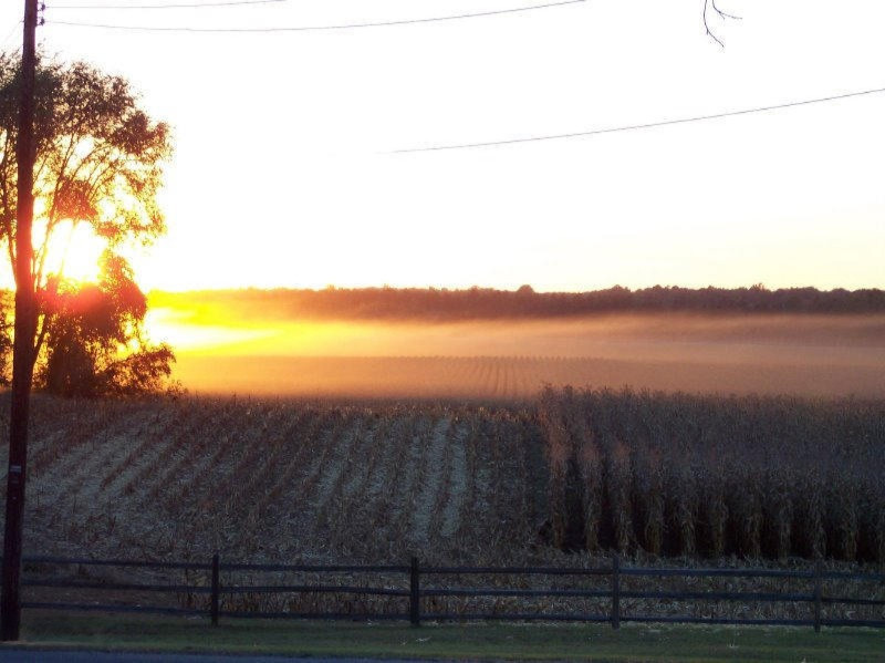 1723 North Philip Road Niles, MI 49120 - Photo 21 of 25 20 Fall Evening View