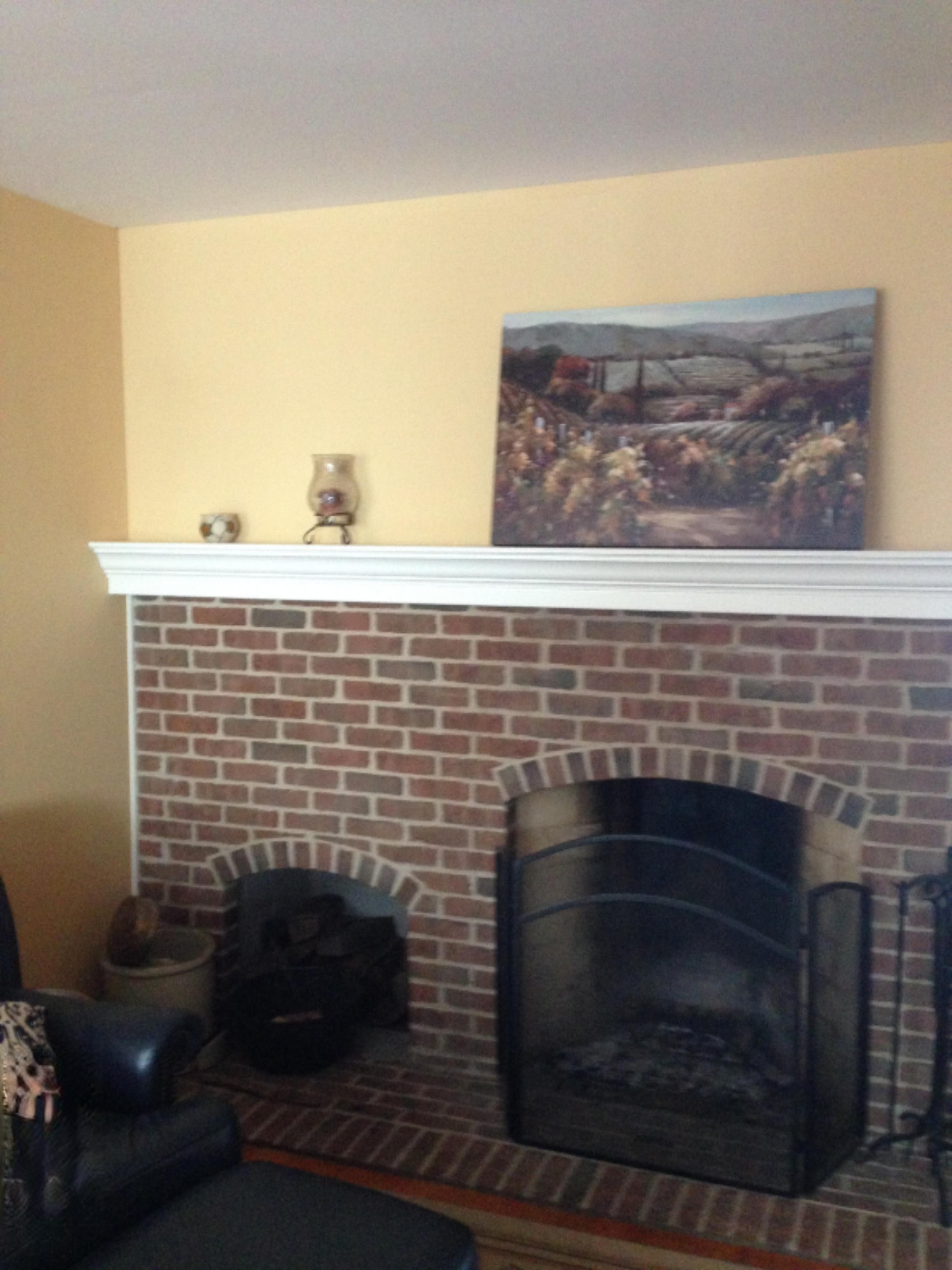 1723 North Philip Road Niles, MI 49120 - Photo 8 of 25 7A Wood Burning Rumford Fireplace