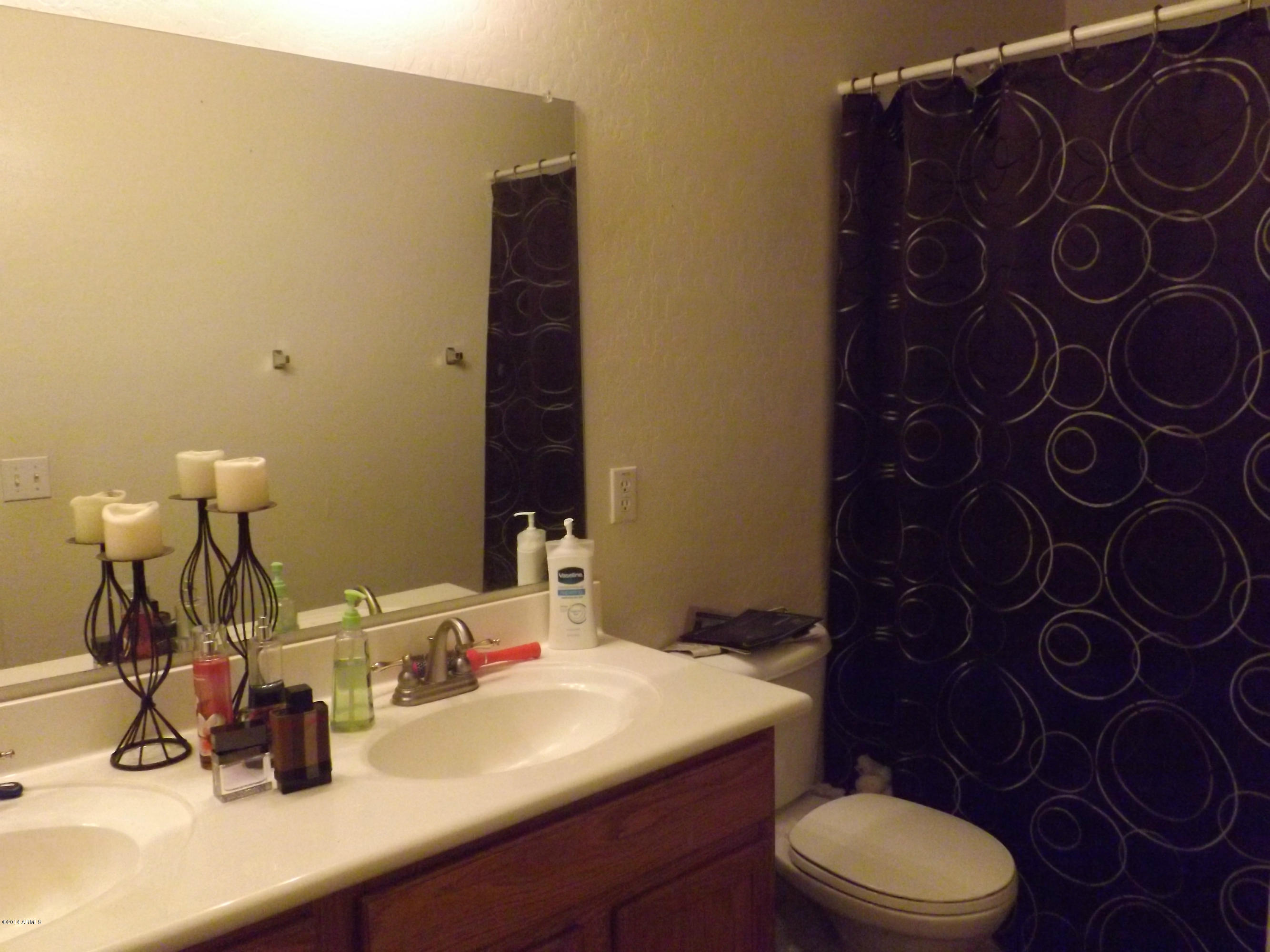 16841 West Rimrock Street Surprise, AZ 85388 - Photo 12 of 20 master bathroom