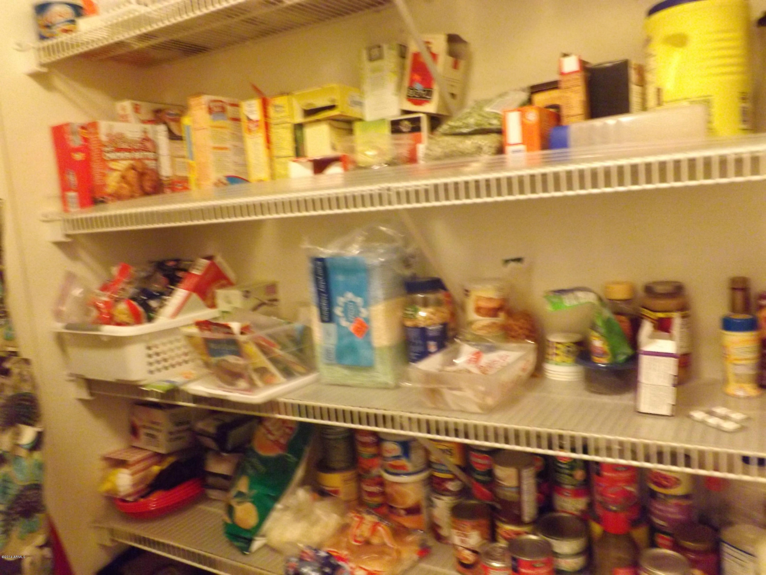 16841 West Rimrock Street Surprise, AZ 85388 - Photo 18 of 20 pantry 2