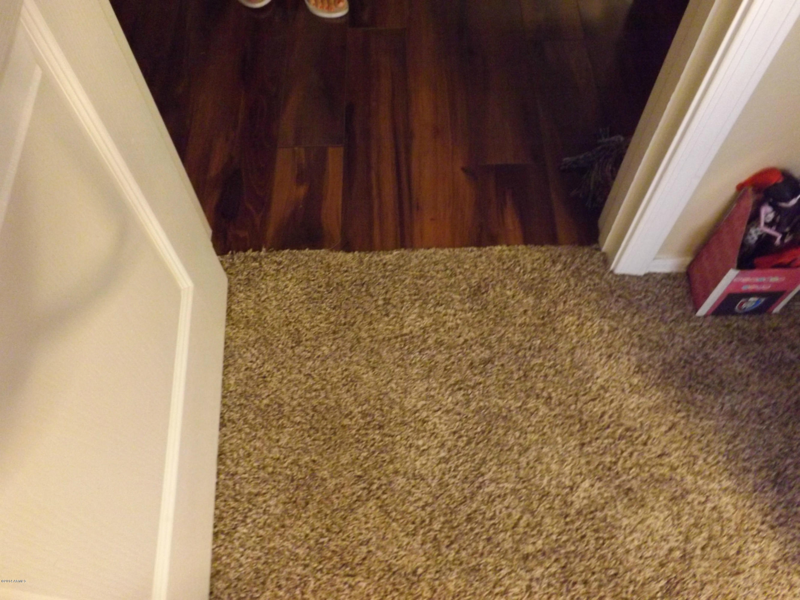 16841 West Rimrock Street Surprise, AZ 85388 - Photo 10 of 20 new carpet and flooring