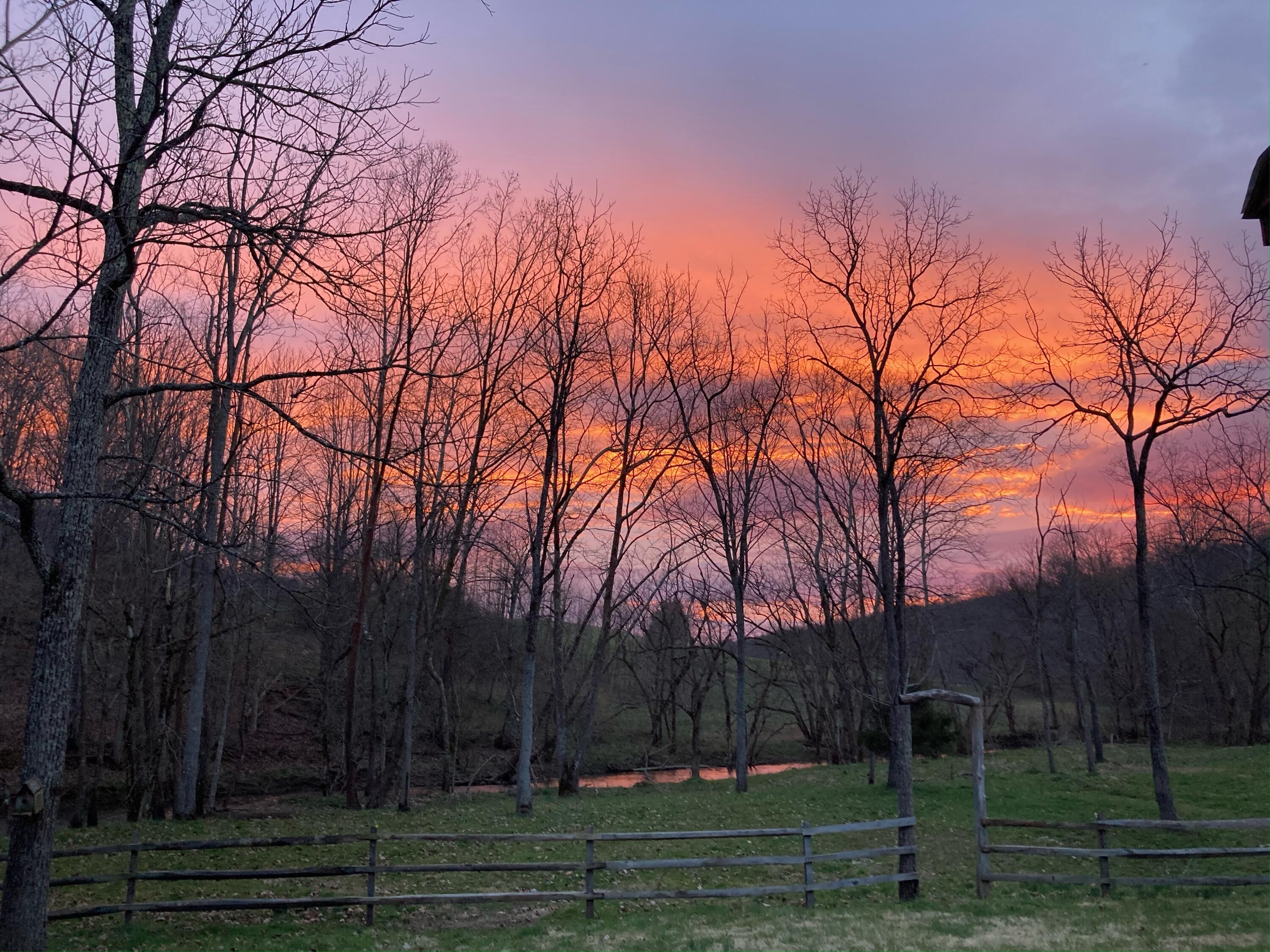 7465 Hurricane Road Jonesville, VA 24263 - Photo 21 of 41 IMG_6333