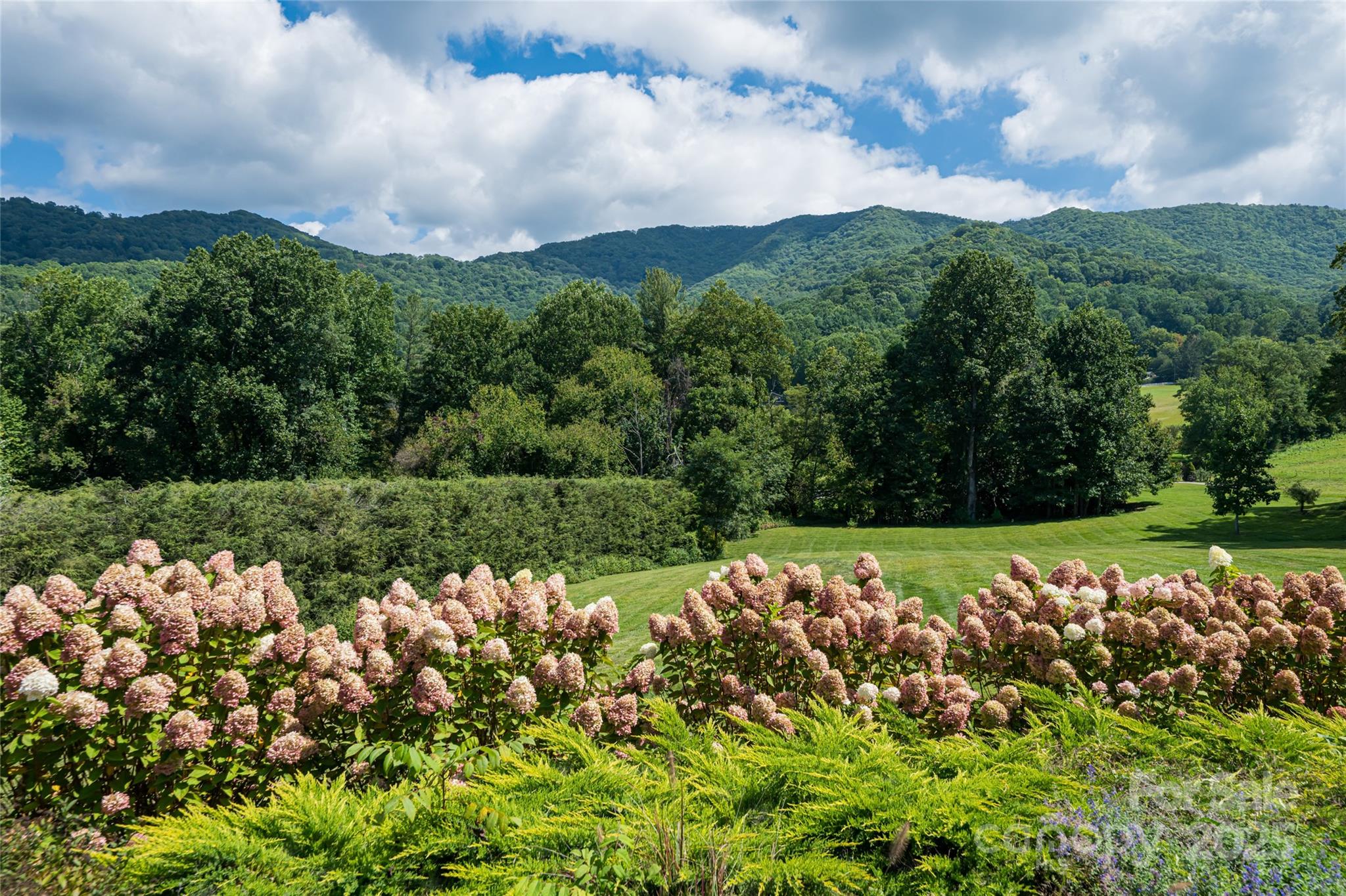 208 Parrish Farm Road Waynesville, NC 28786 - Photo 43 of 48 a view of a lake with a building in the background