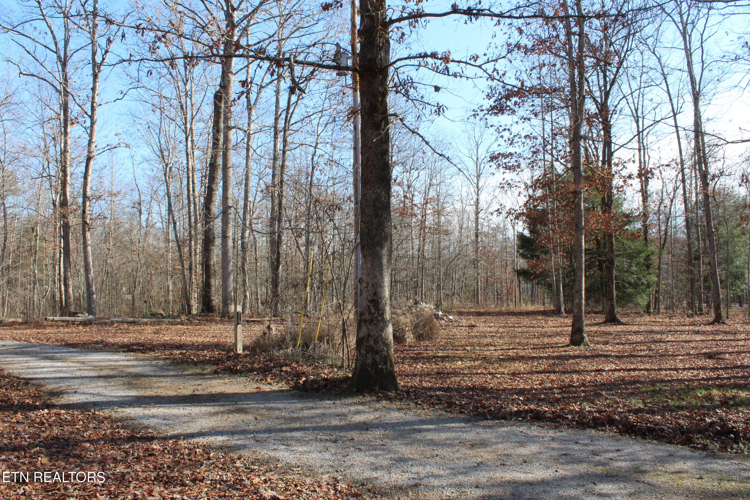 2510 Tinchtown Road Jamestown, TN 38556 - Photo 4 of 60 IMG_6222