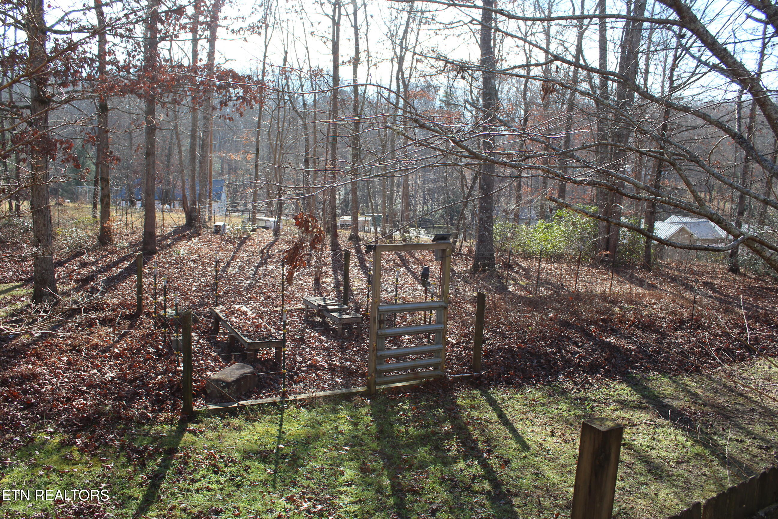 2510 Tinchtown Road Jamestown, TN 38556 - Photo 41 of 60 IMG_6259