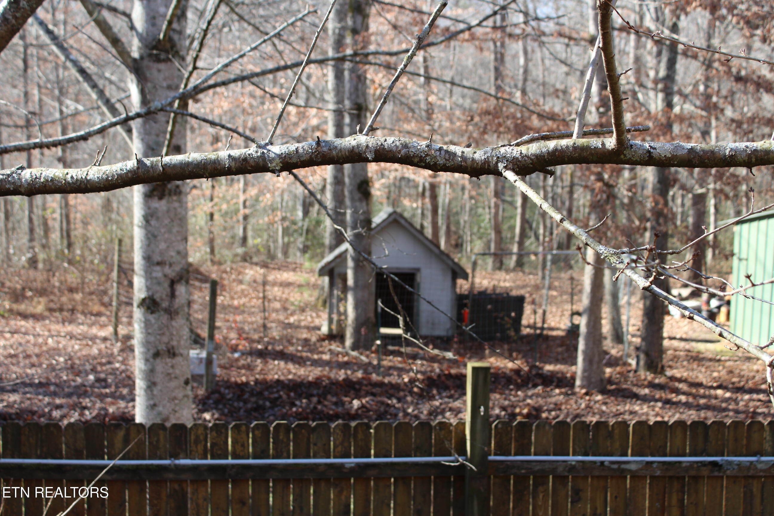 2510 Tinchtown Road Jamestown, TN 38556 - Photo 42 of 60 IMG_6260