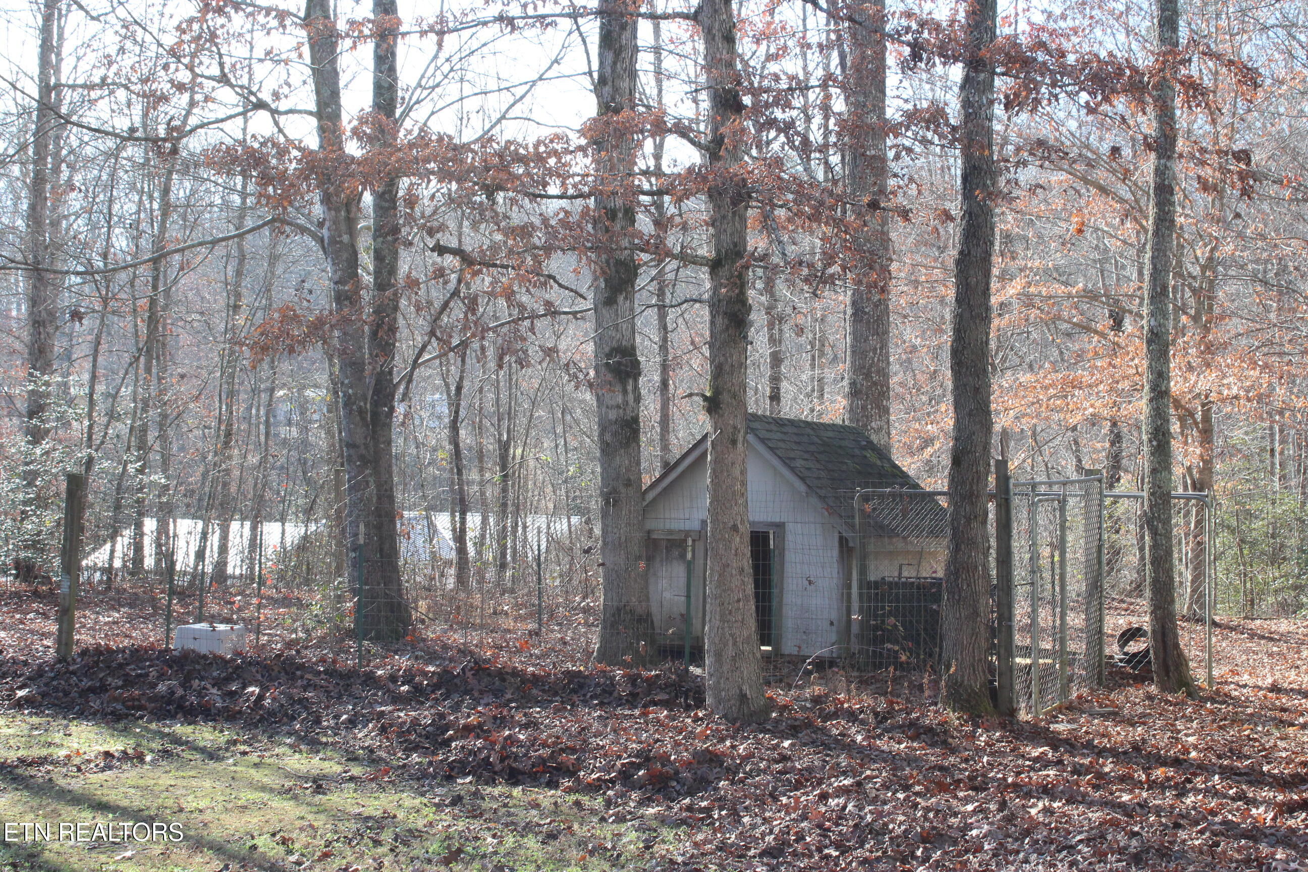 2510 Tinchtown Road Jamestown, TN 38556 - Photo 44 of 60 IMG_6262