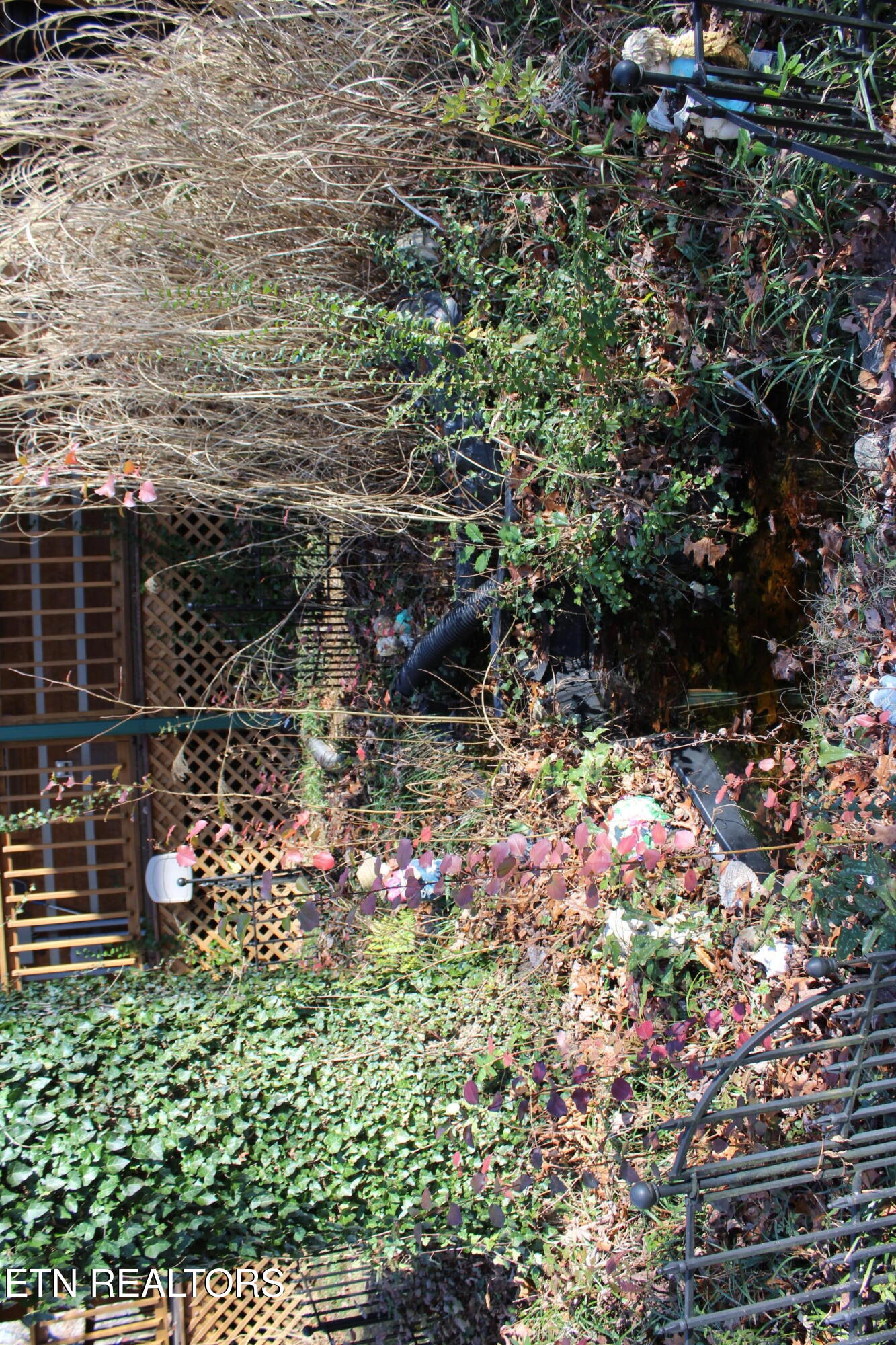 2510 Tinchtown Road Jamestown, TN 38556 - Photo 46 of 60 IMG_6264